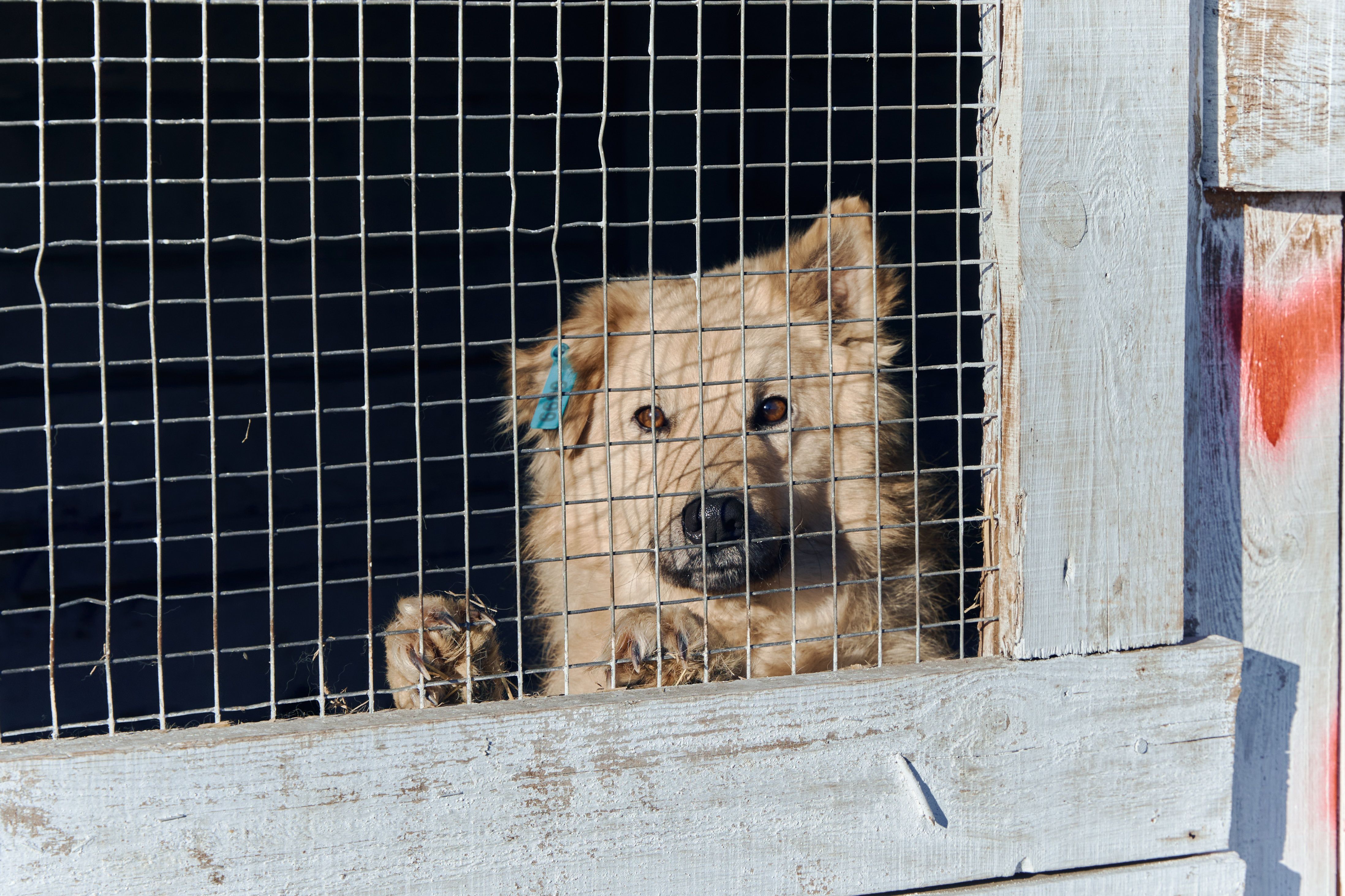 Изображение-image-d8af9af3c5b0a4ef6a7937b04a7c13a21ca69b03-4390x2926-jpg