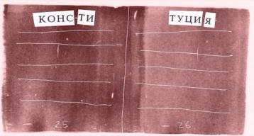 Изображение-«Даже в интровертах можно развить интерес к политическому дежурству»