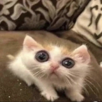 Изображение-image-eb6d535e8a06f4612934970ab3b4a1c67f36bd90-354x354-png