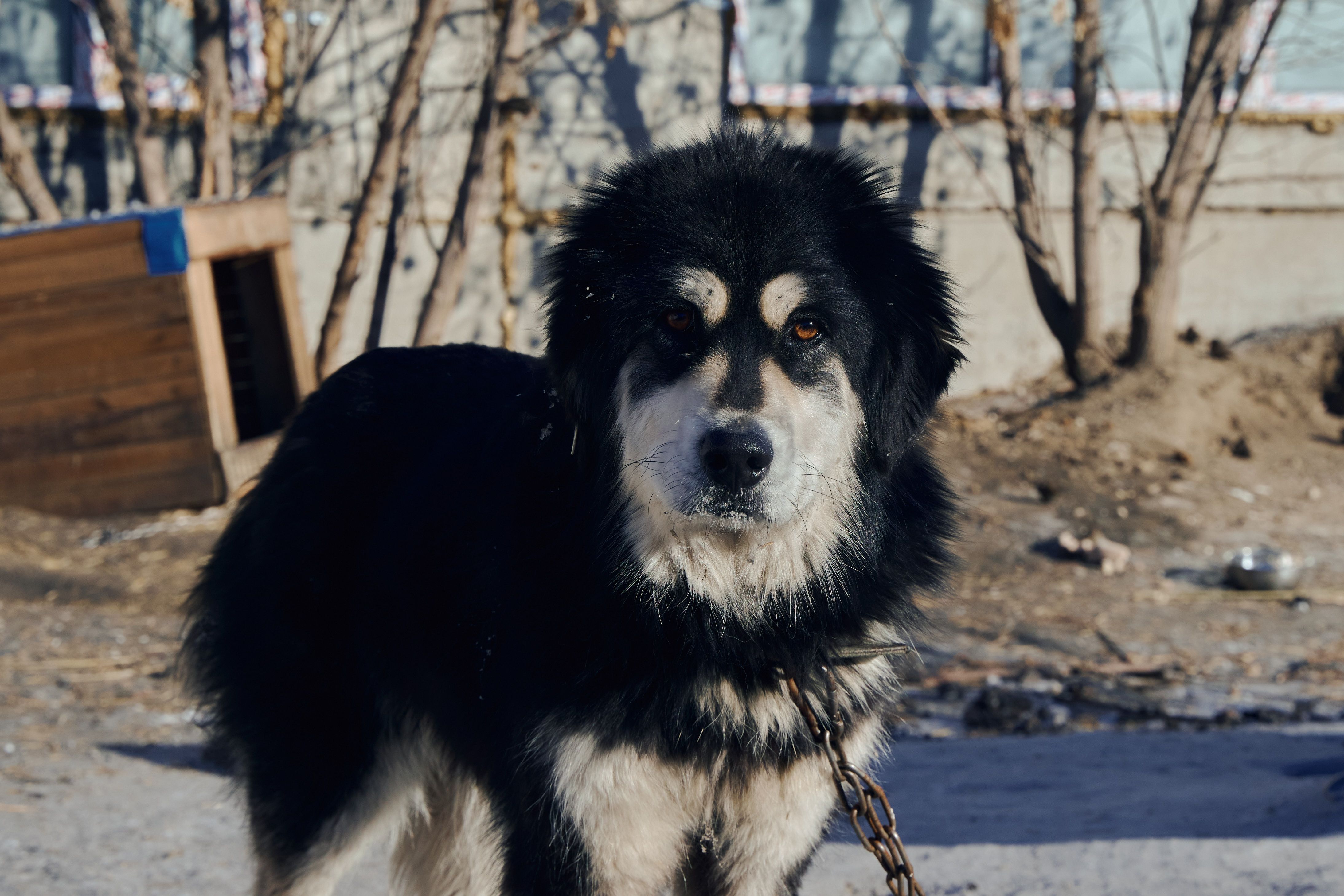 Изображение-image-f03877dd4a91389cd6135815c4203778aee72eb0-4376x2918-jpg