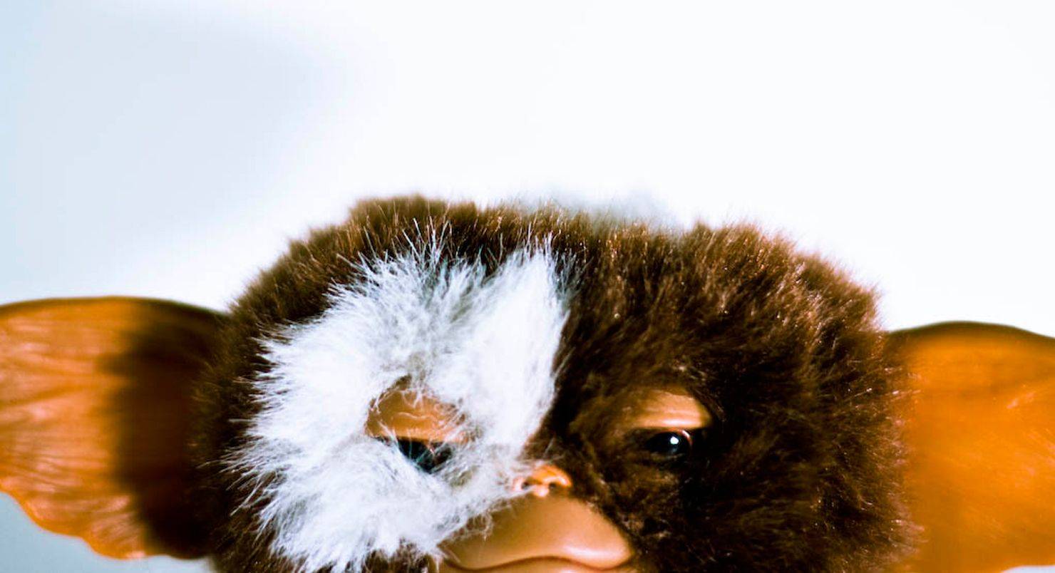 Изображение-image-f748b98a4d2bec04574a2145a9fc4ef5bf614b9d-1480x804-jpg