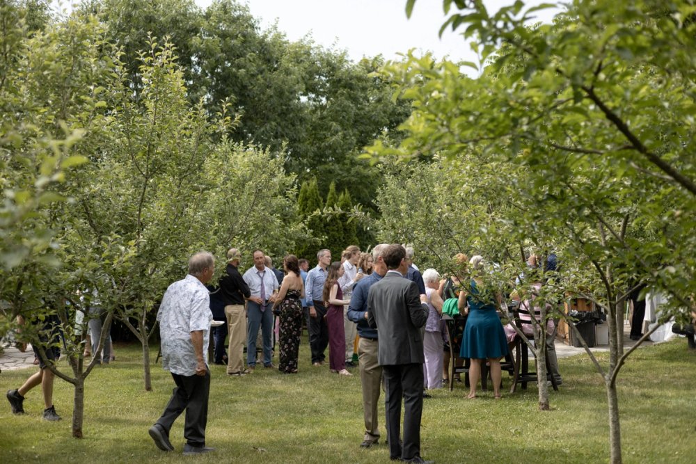Guests celebrating at wedding cocktail reception in Niagara orchards