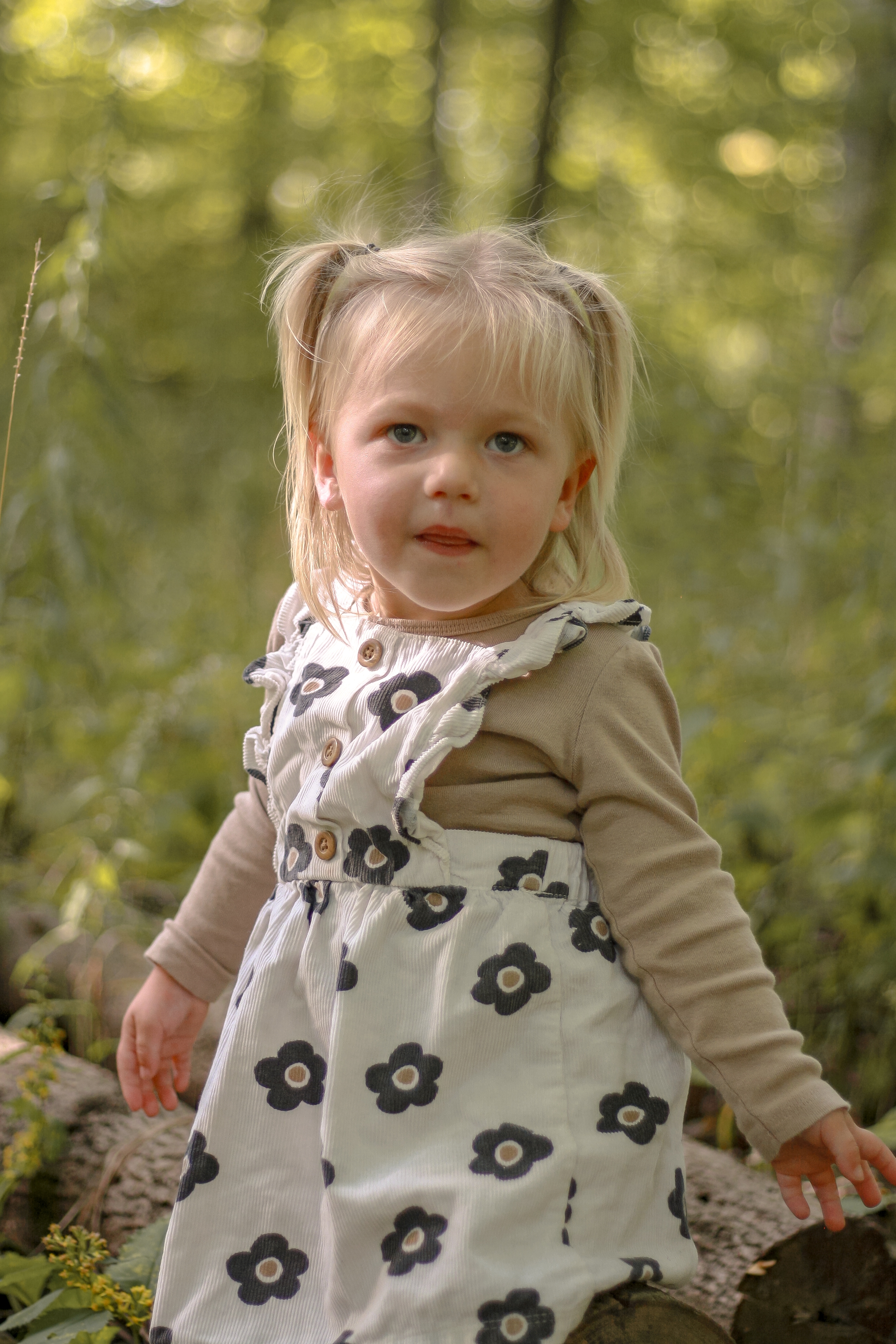 blonde toddler girl with pigtails wearing a black and white floral dress and long sleeve top standing in the forest - Family Photography