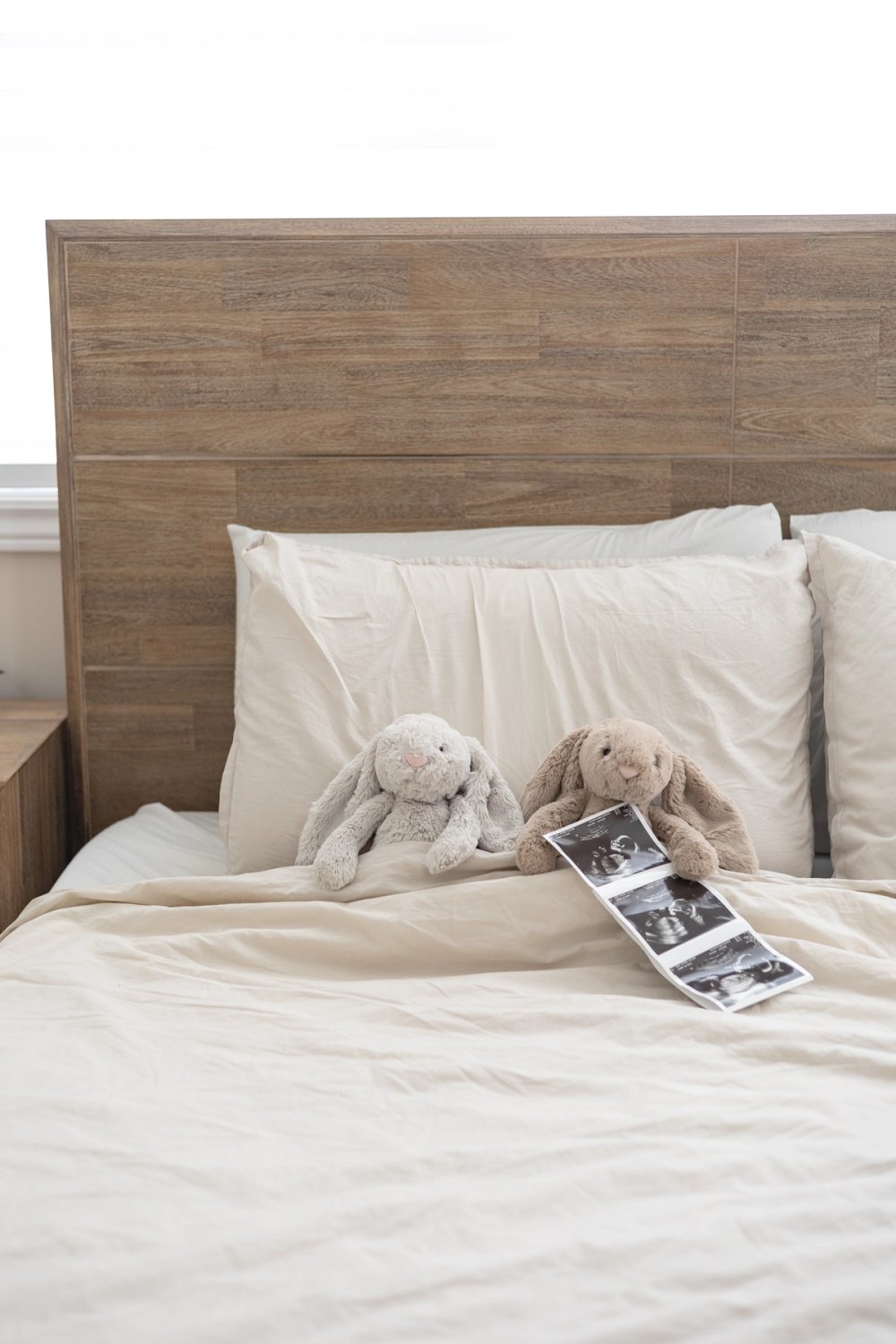 Two stuffed bunnies sitting on bed holding ultrasound - Newmarket Maternity Photographer
