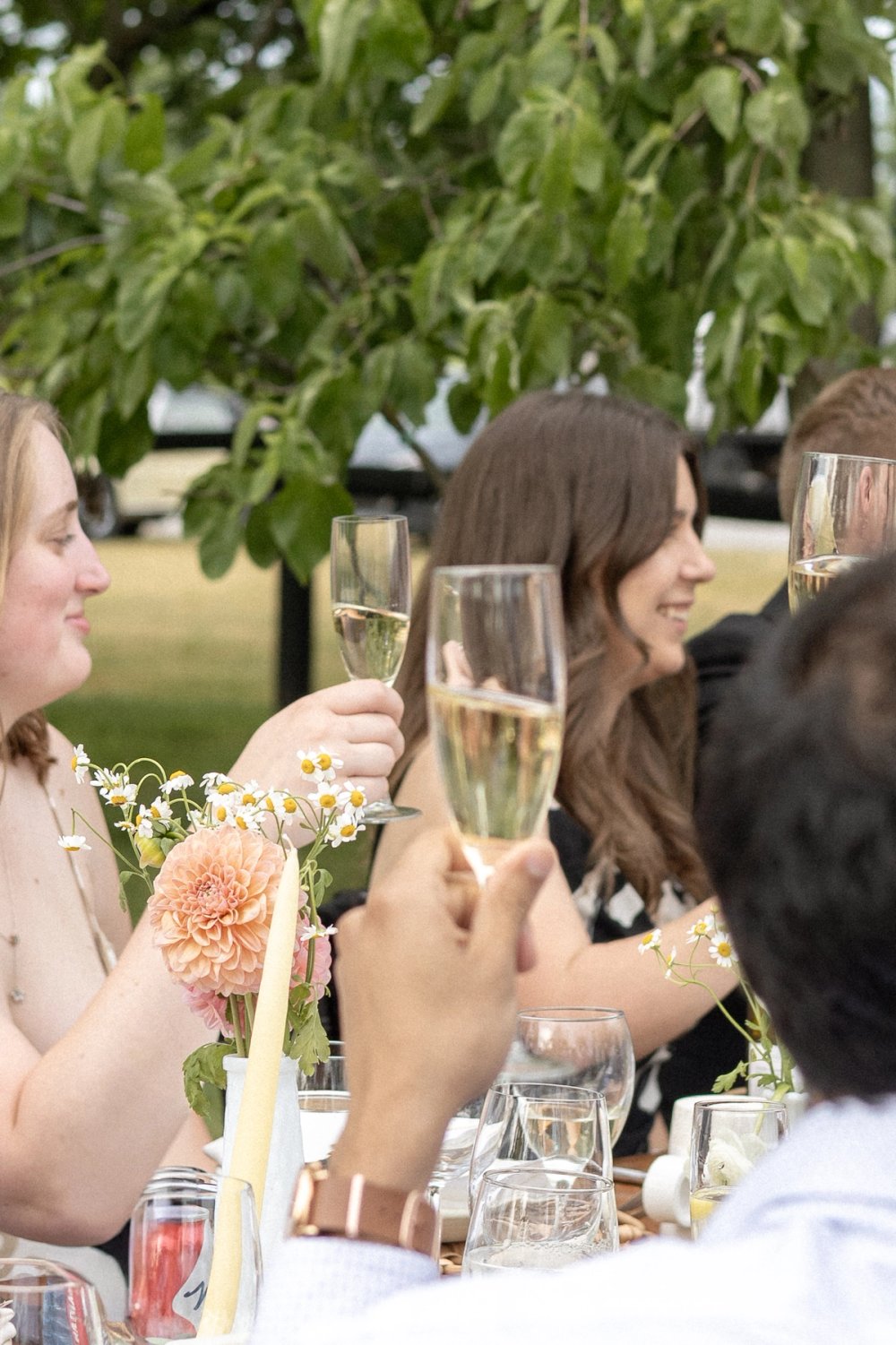 Guests raising glasses during wedding reception