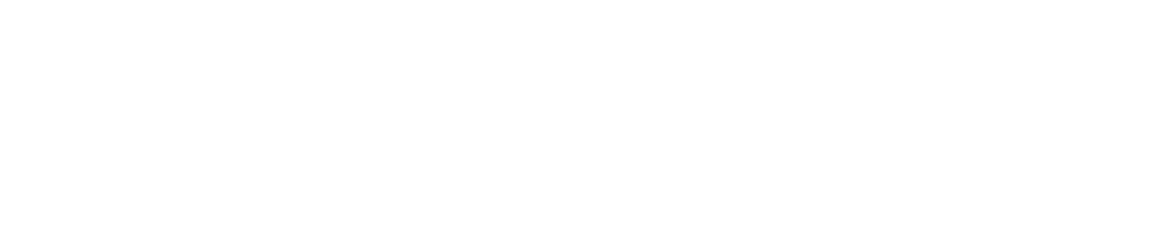 SambaNova