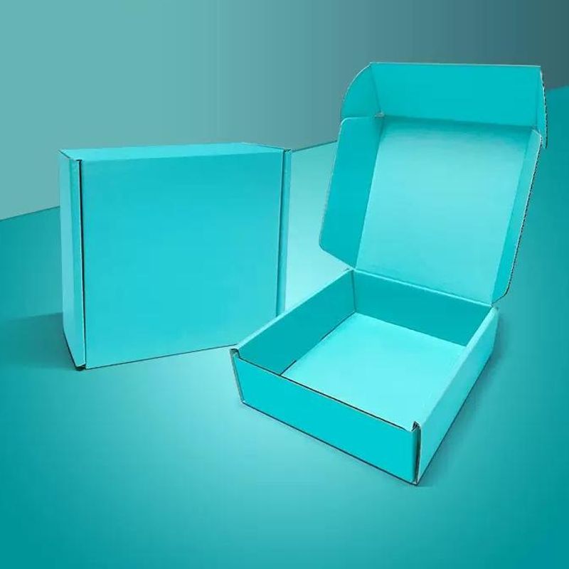 Mailer Box with Free Logo Printing 4