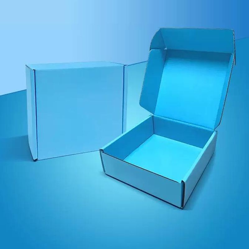 Mailer Box with Free Logo Printing 8