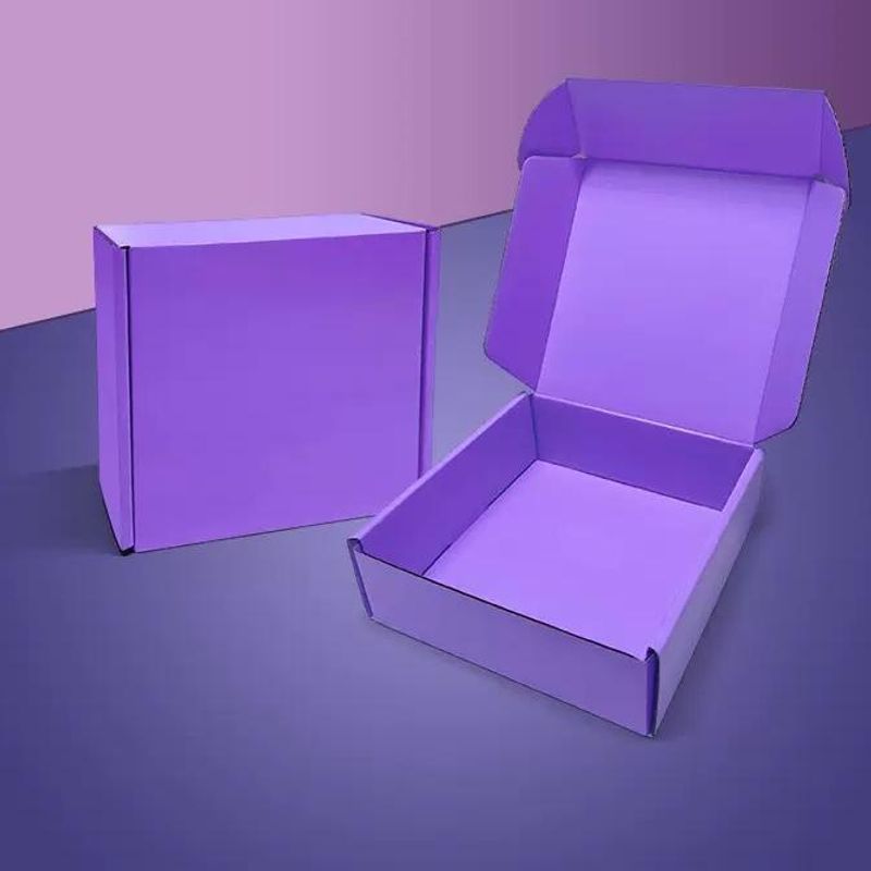 Mailer Box with Free Logo Printing 6