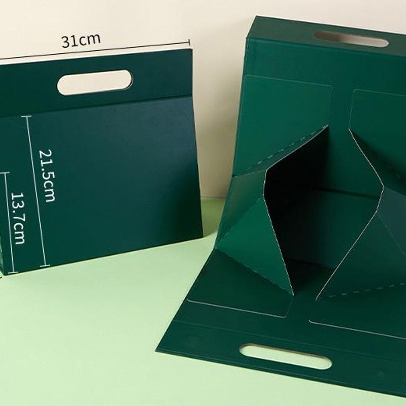 Carrier Foldable Box with Free Logo Printing 4