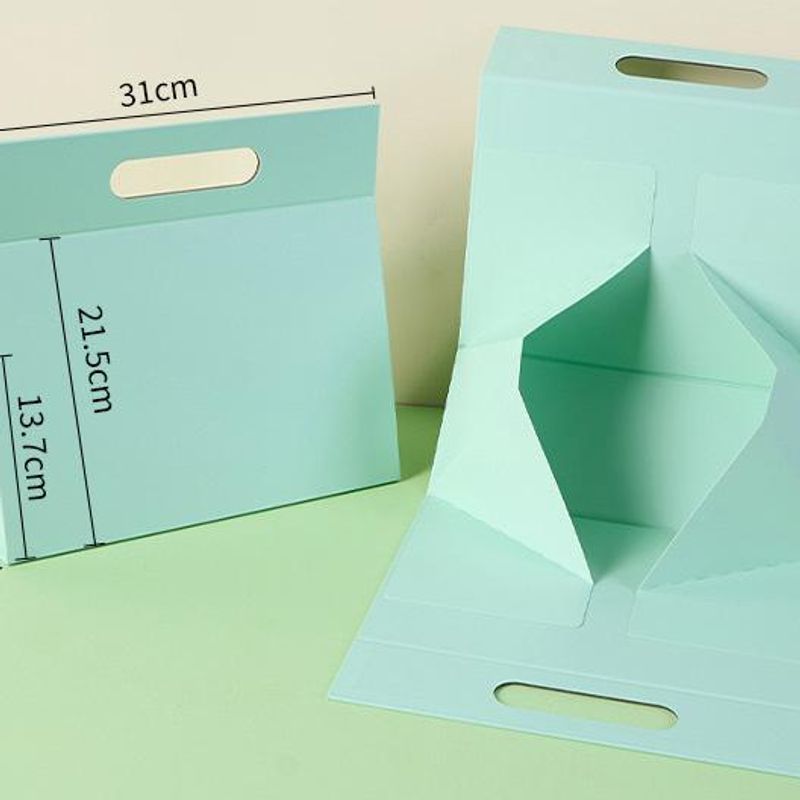Carrier Foldable Box with Free Logo Printing 3