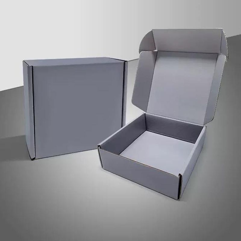 Mailer Box with Free Logo Printing 3