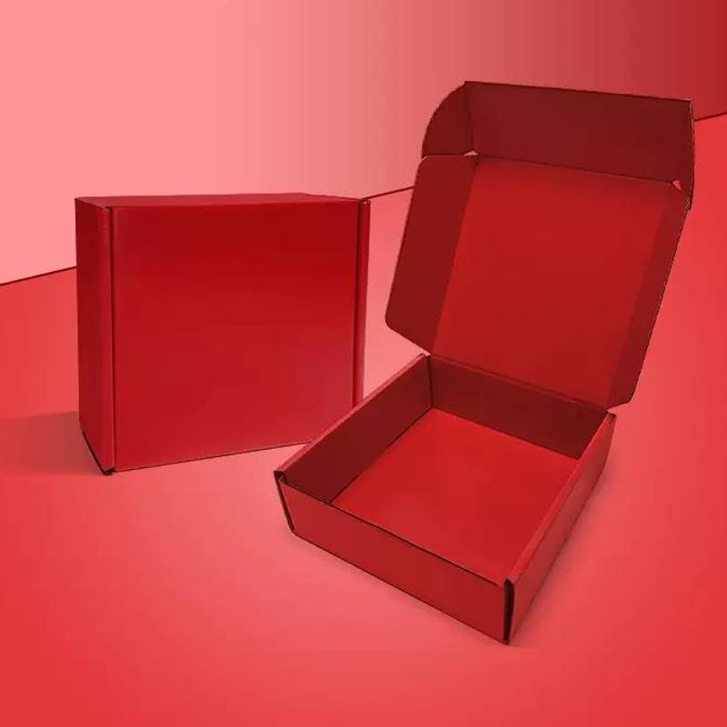 Mailer Box with Free Logo Printing 7