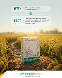 Agricultural Waste Pulp: Farming Residues Transformed into Premium Paper Fiber