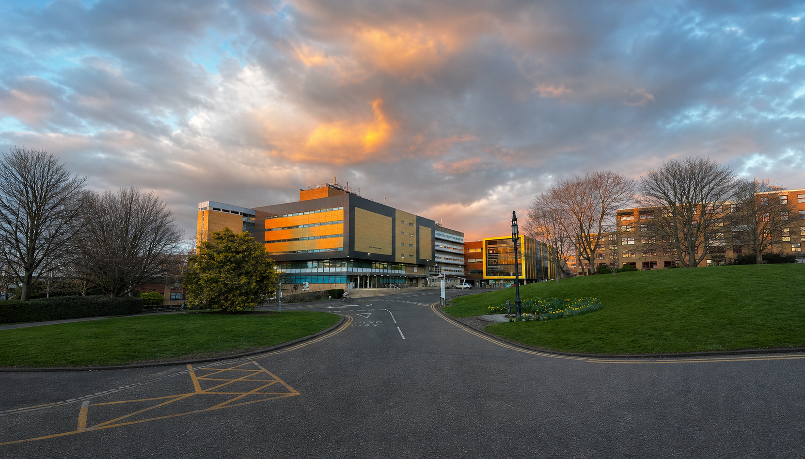 University of Surrey