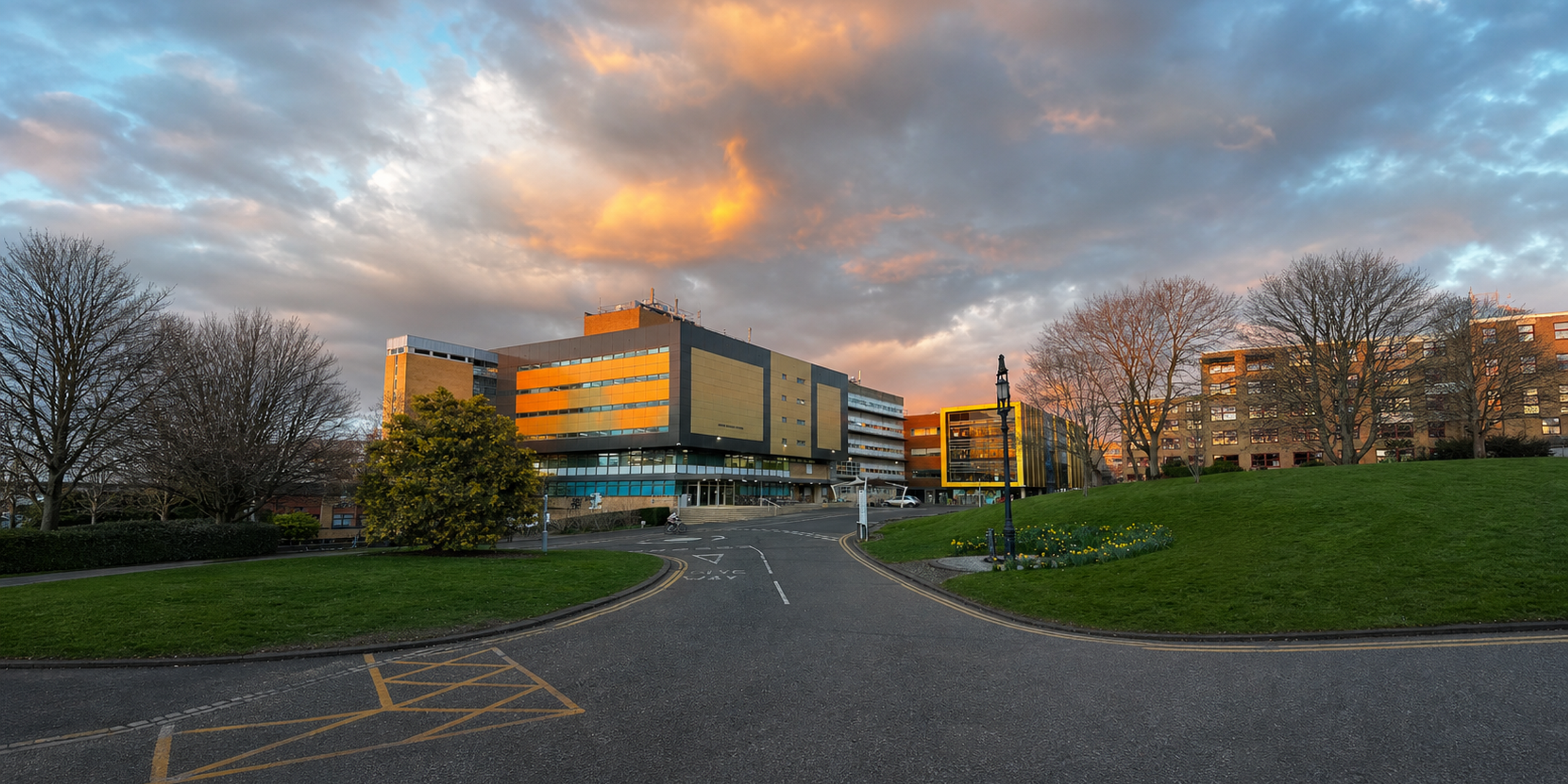 University of Surrey