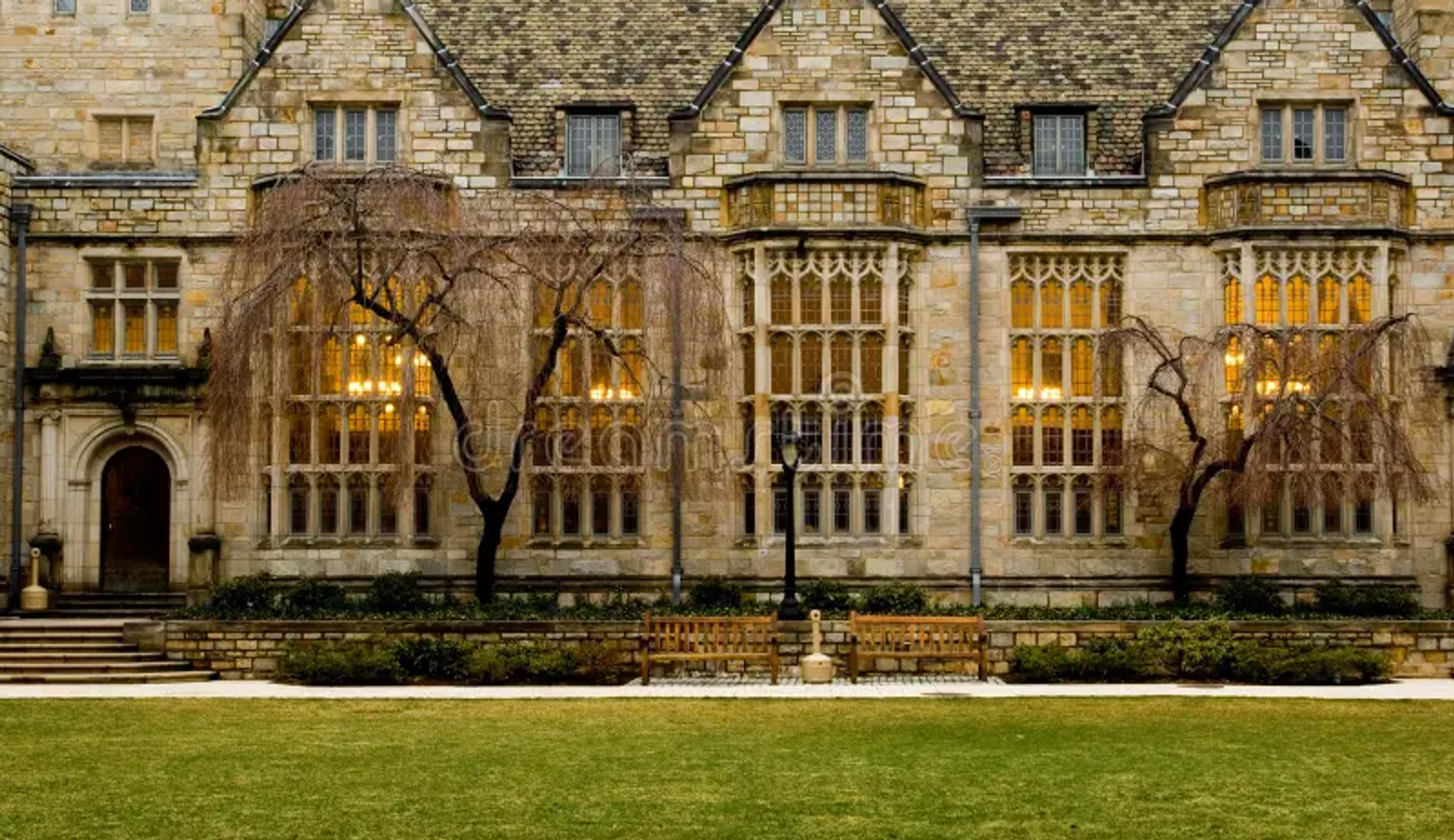 Yale University