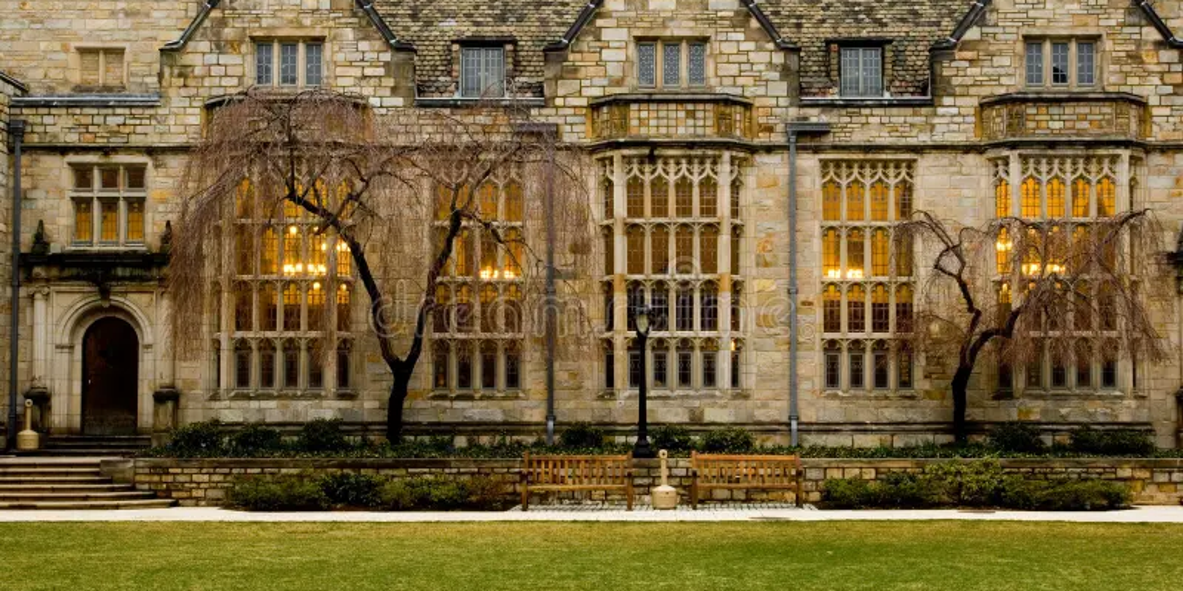 Yale University