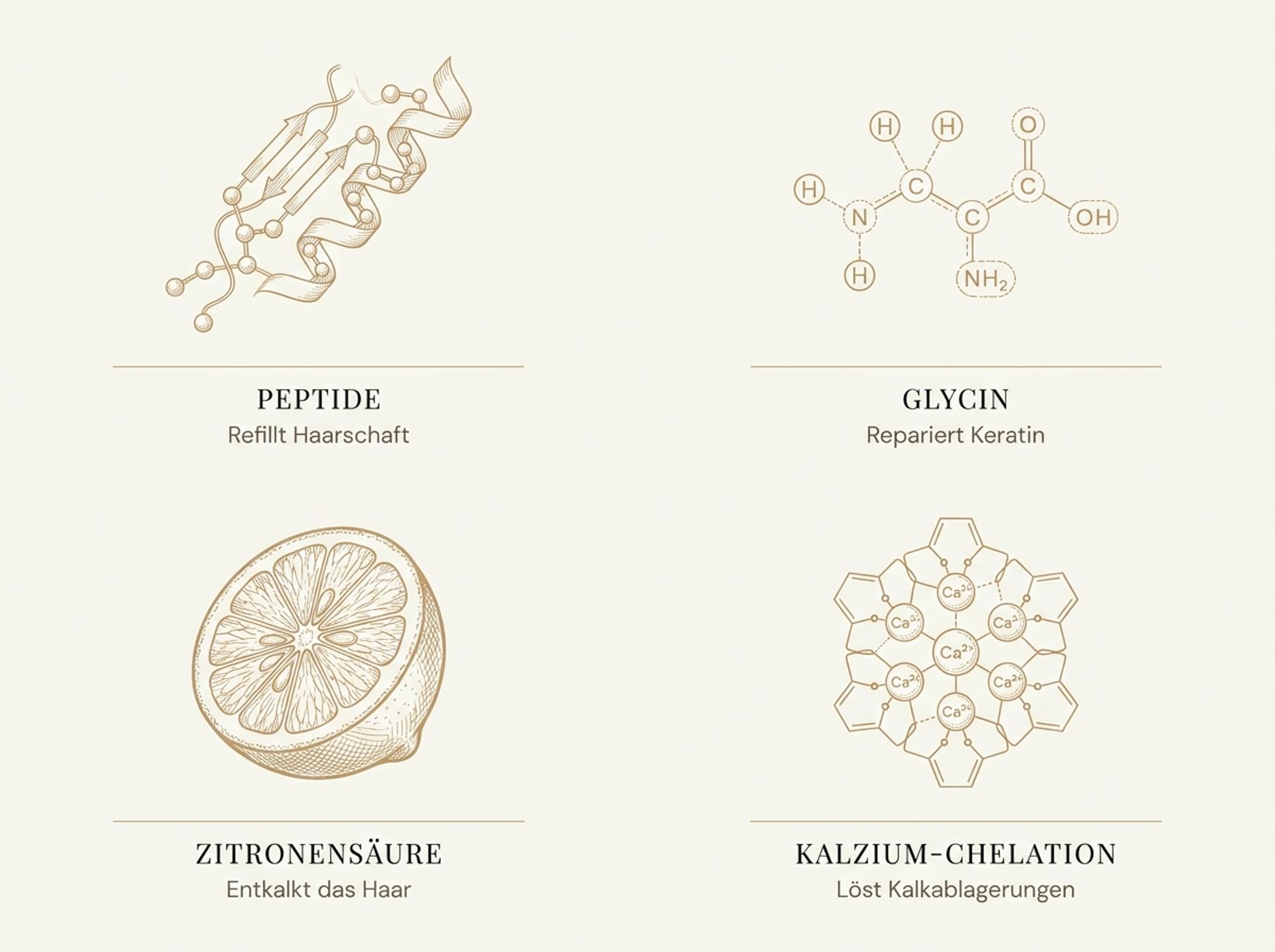 Infografik zu den Wirkstoffen der Kérastase Première Masque: Peptide, Glycin, Zitronensäure und Calcium-Chelation