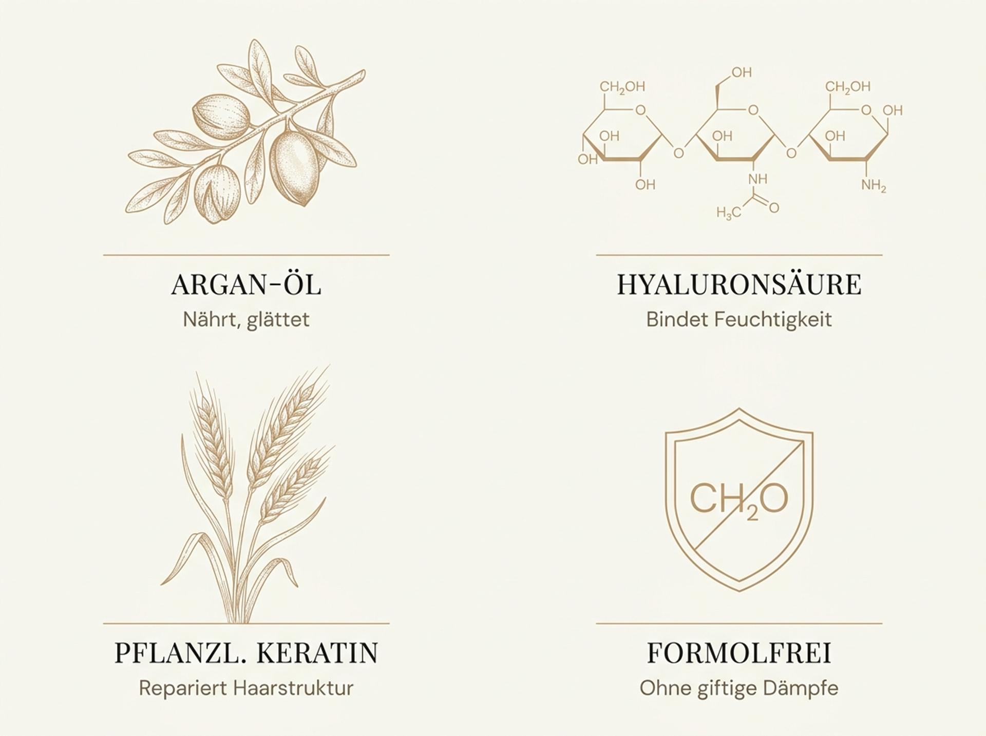 Infografik zu den Wirkstoffen im Kativa Brasilianischen Keratin-Set: Argan-Öl, Hyaluronsäure, pflanzliches Keratin und formolfreie Formel