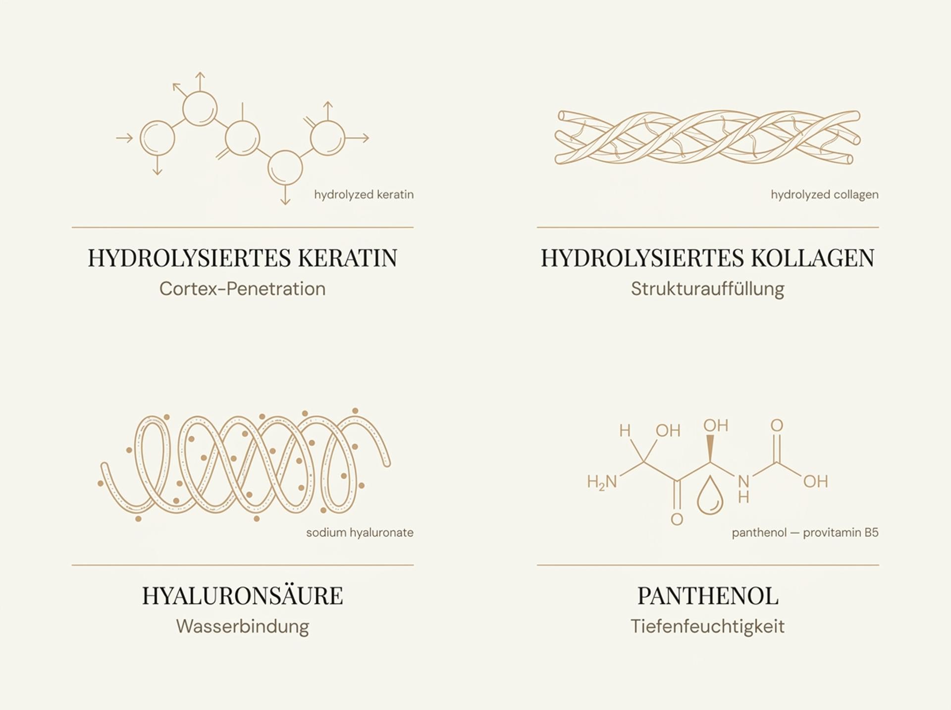 Infografik der Kallos KJMN Pro-tox Wirkstoffe: Hydrolysiertes Keratin, Kollagen, Hyaluronsäure und Panthenol