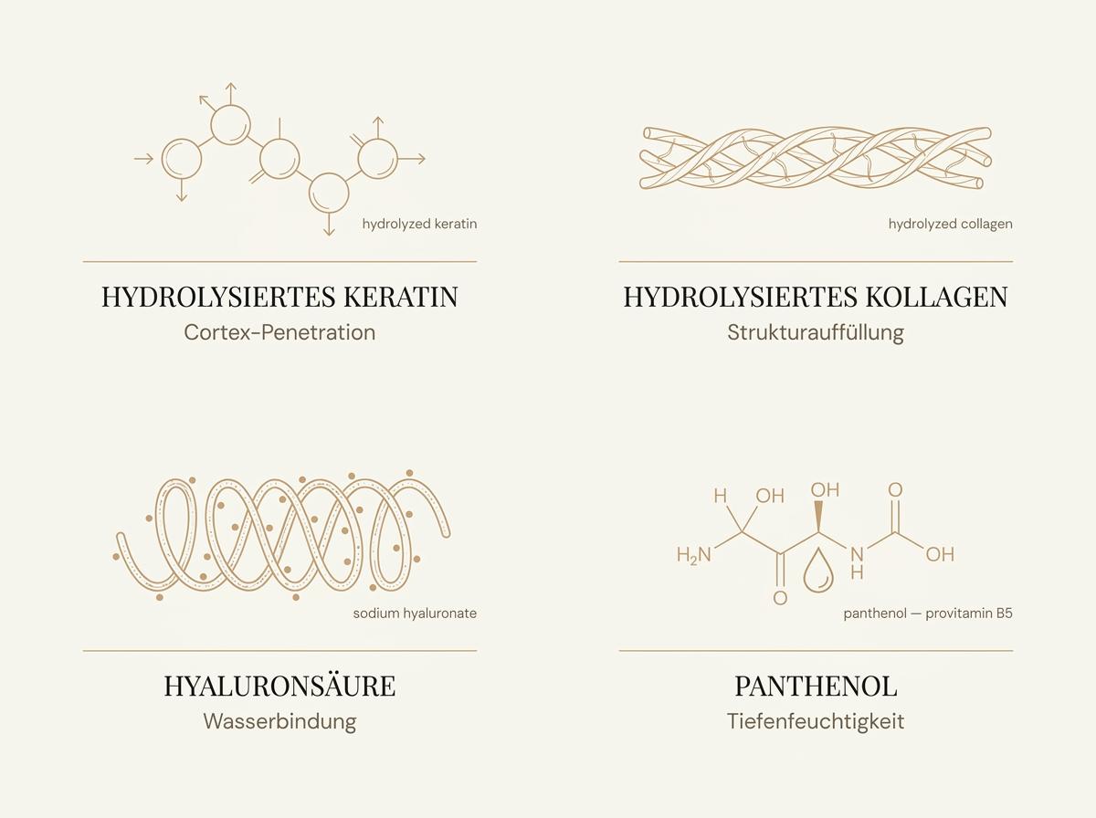 Infografik der Kallos KJMN Pro-tox Wirkstoffe: Hydrolysiertes Keratin, Kollagen, Hyaluronsäure und Panthenol