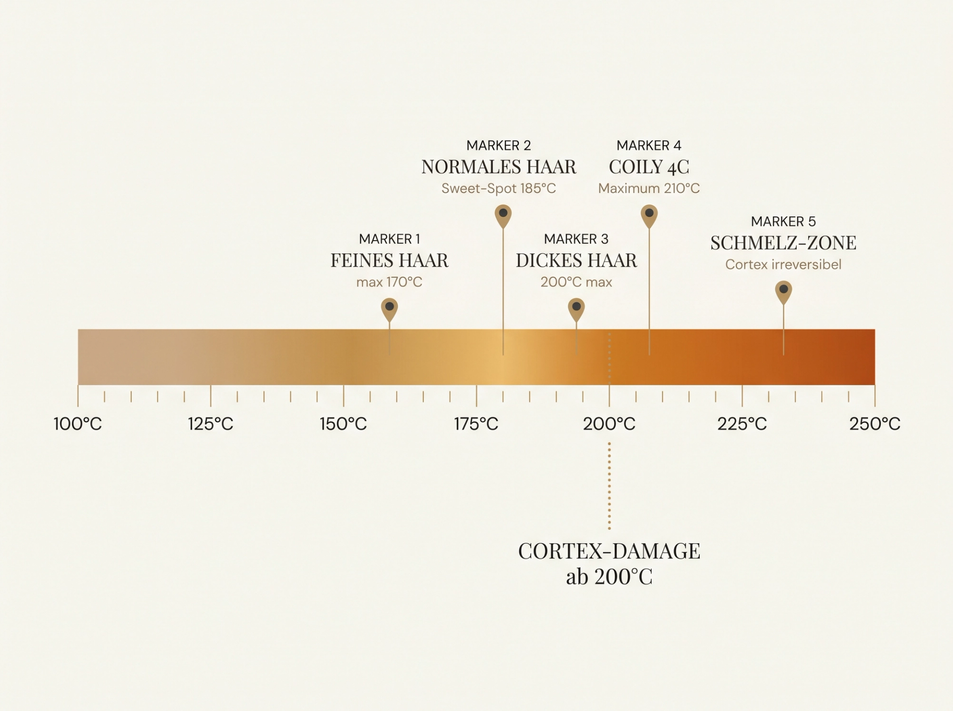 Scientific-Luxury-Infografik in HaarLuxus-Palette: horizontale Temperatur-Gradient-Skala von 100 °C bis 250 °C mit fünf Haartyp-Markern (fein/blondiert 150-170 °C, normal 180-185 °C, dick/wellig 190-210 °C, lockig 210 °C, Schadens-Zone ab 230 °C) auf ivory Hintergrund mit warm-gold Sepia-Hairlines