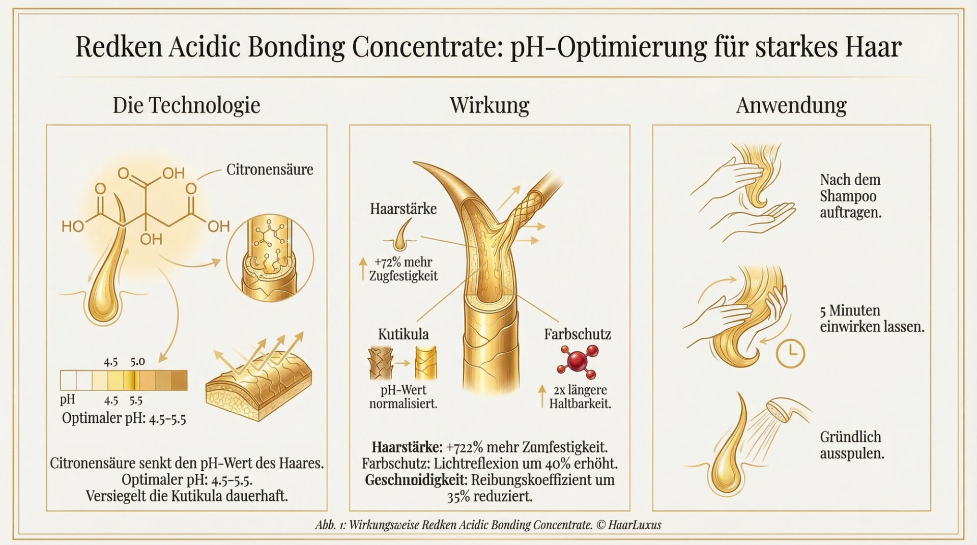 Infografik zu den Wirkstoffen des Redken Acidic Bonding: Zitronensäure, Arginin, Weizenprotein und pH-Absenkung
