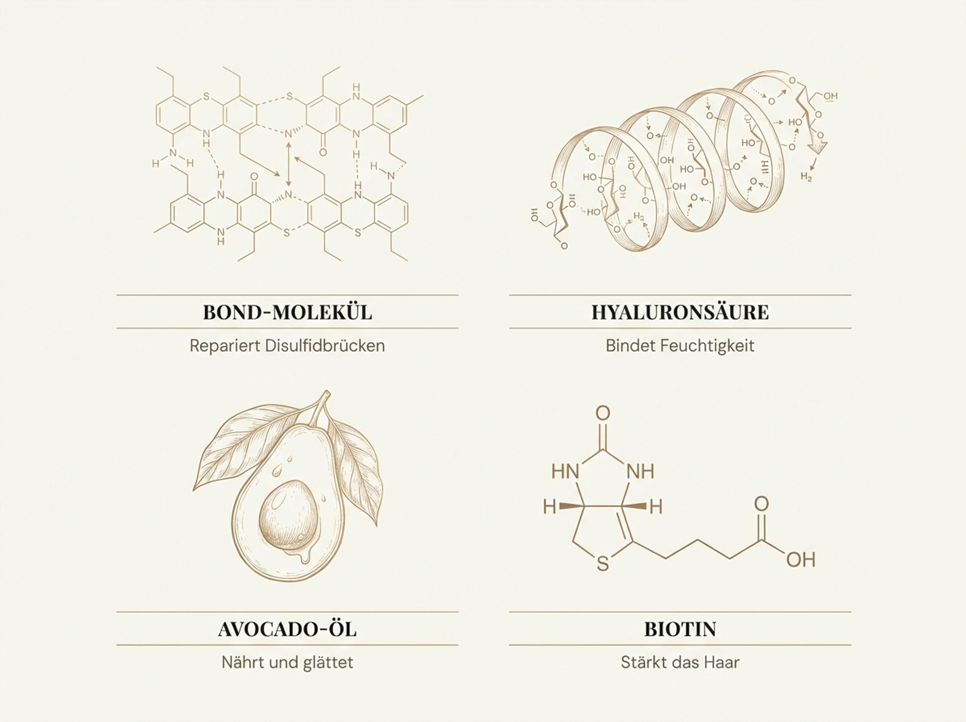 Infografik zu den Wirkstoffen im Olaplex Nº.5: Bond-Molekül, Hyaluronsäure, Avocado-Öl und Biotin