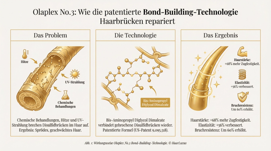 Olaplex No.7 Bonding Oil Test: Lohnt sich das Kult-Haaröl? – Infografik