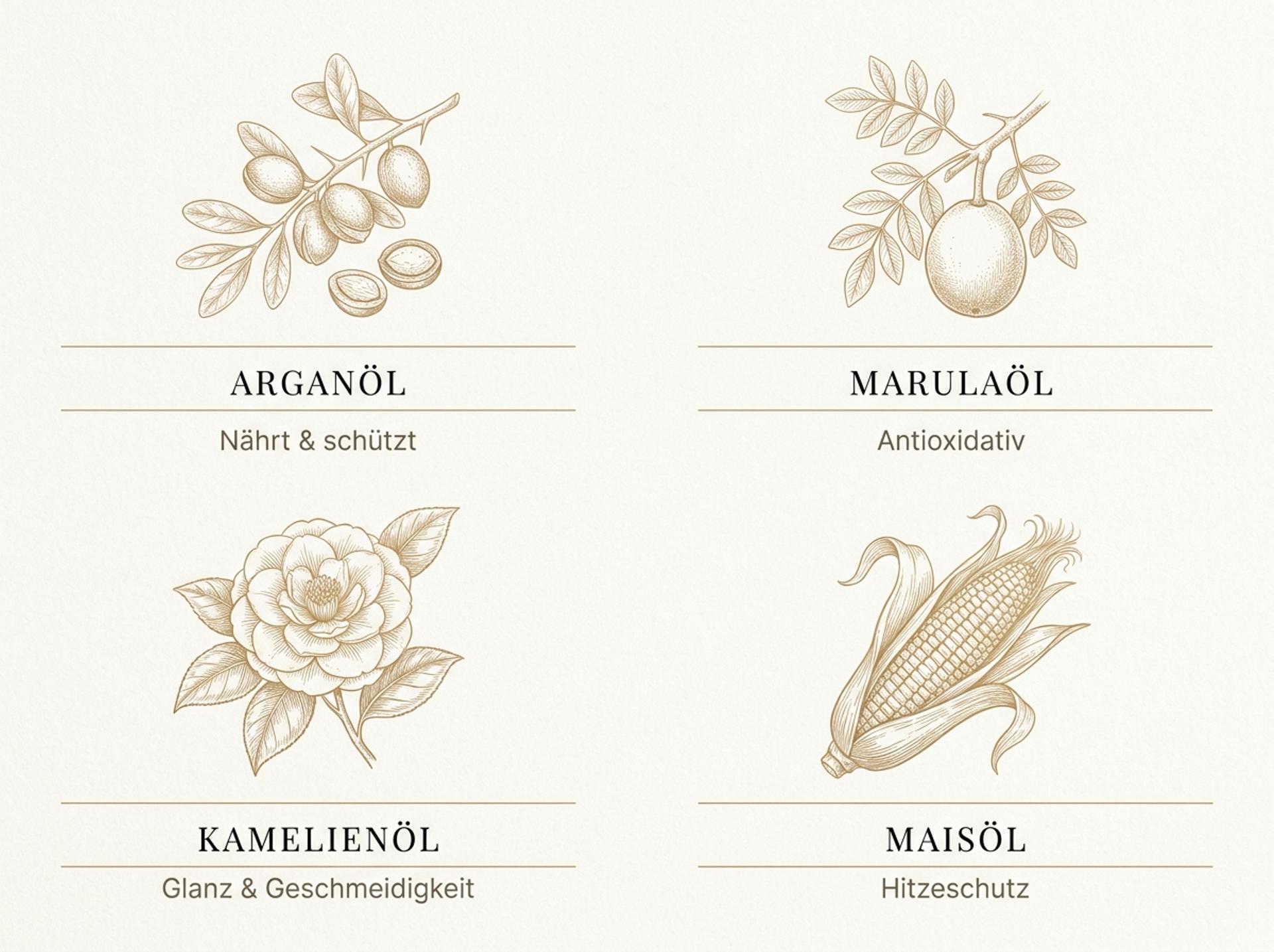 Infografik zu den vier Pflanzenölen im Kérastase Elixir Ultime: Arganöl, Marulaöl, Kamelienöl und Maisöl