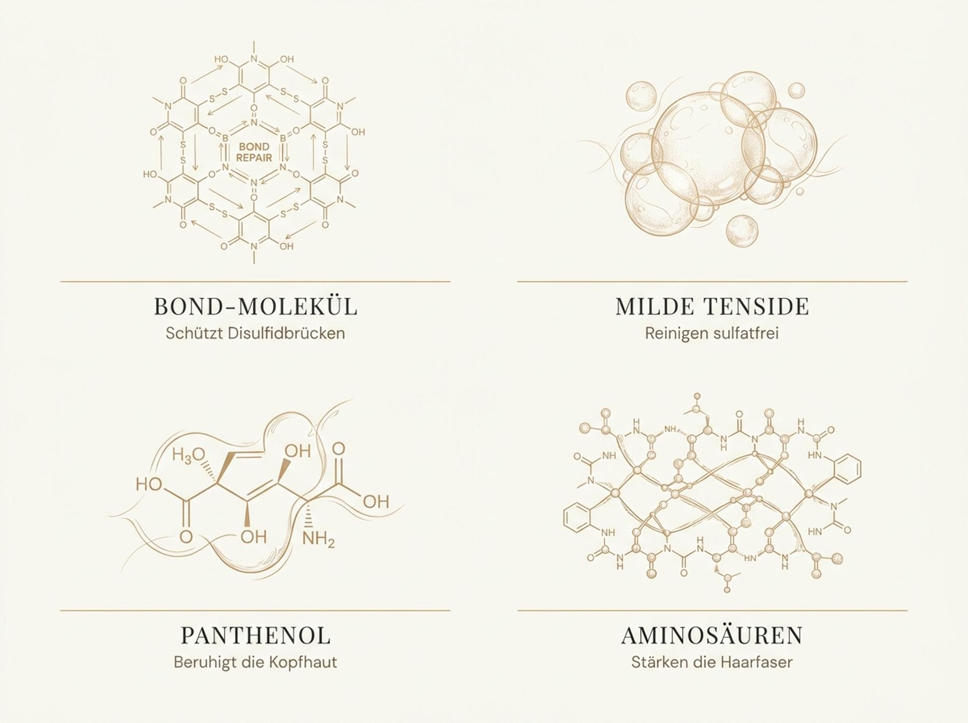 Infografik zu den Wirkstoffen im Olaplex Nº.4C: Bond-Repair-Molekül, milde Tenside, Panthenol und Aminosäure-Komplex