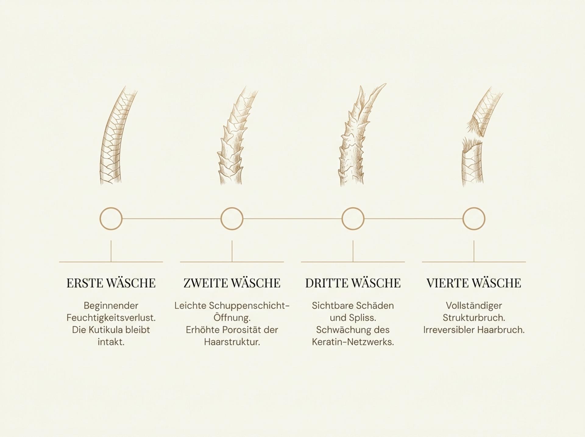 Infografik in HaarLuxus-Palette: vier Warnsignale einer misslungenen Keratin-Glättung als Zeitachse von der ersten bis zur vierten Haarwäsche, mit warm-gold gezeichneten Haarfaser-Symbolen