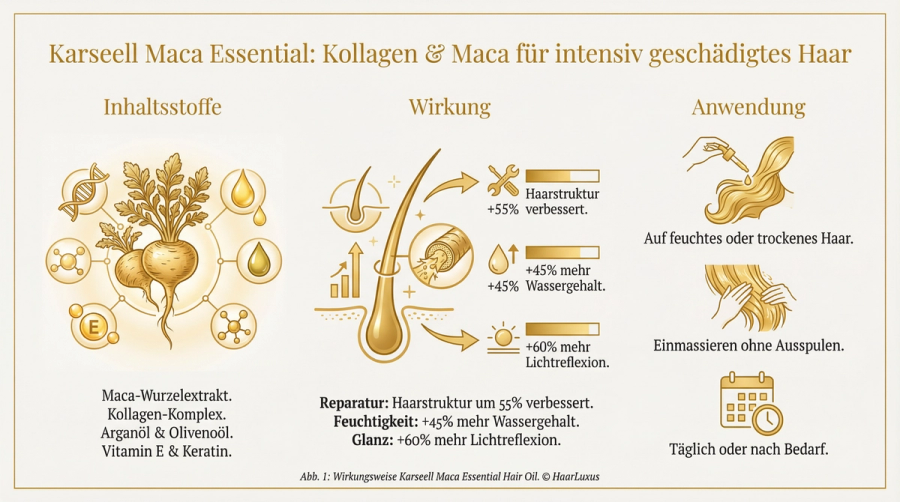 Infografik: Karseell Maca Essential Hair Oil Wirkstoffe – Maca-Extrakt, Arganöl, Kollagen und ihre Wirkung auf die Haarfaser