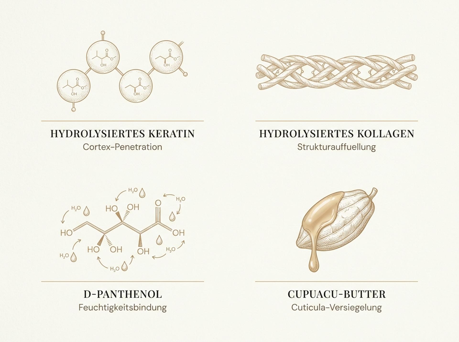 Infografik der Forever Liss BTX Zero Wirkstoffe: Hydrolysiertes Keratin, Hydrolysiertes Kollagen, D-Panthenol und Cupuaçu-Butter