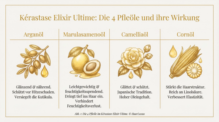 Kérastase Elixir Ultime Test 2026: Luxus-Haaröl im Praxistest – Infografik