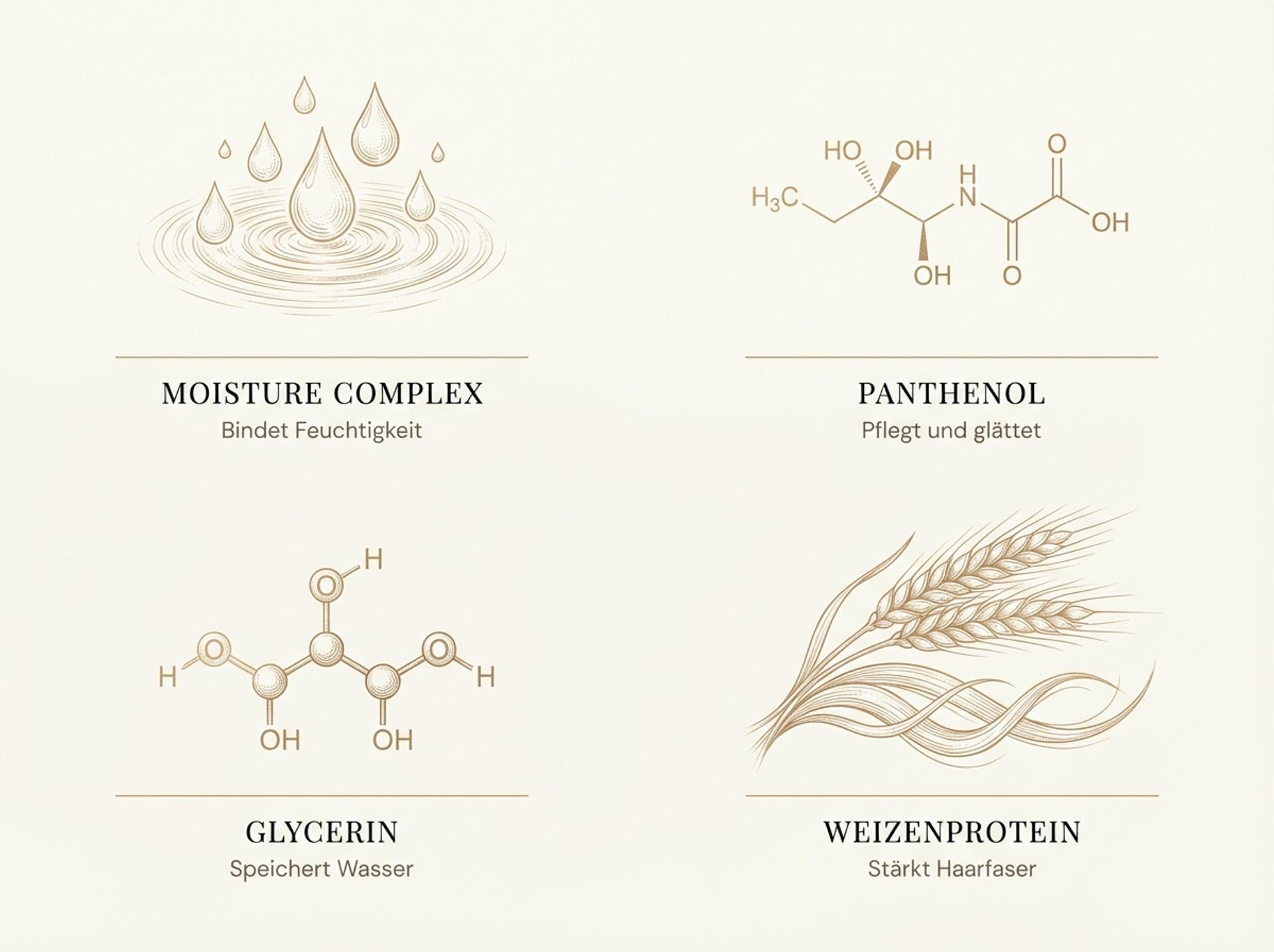 Infografik zu den Wirkstoffen im Wella SP Hydrate Conditioner: Moisture Complex, Panthenol, Glycerin und Weizenprotein