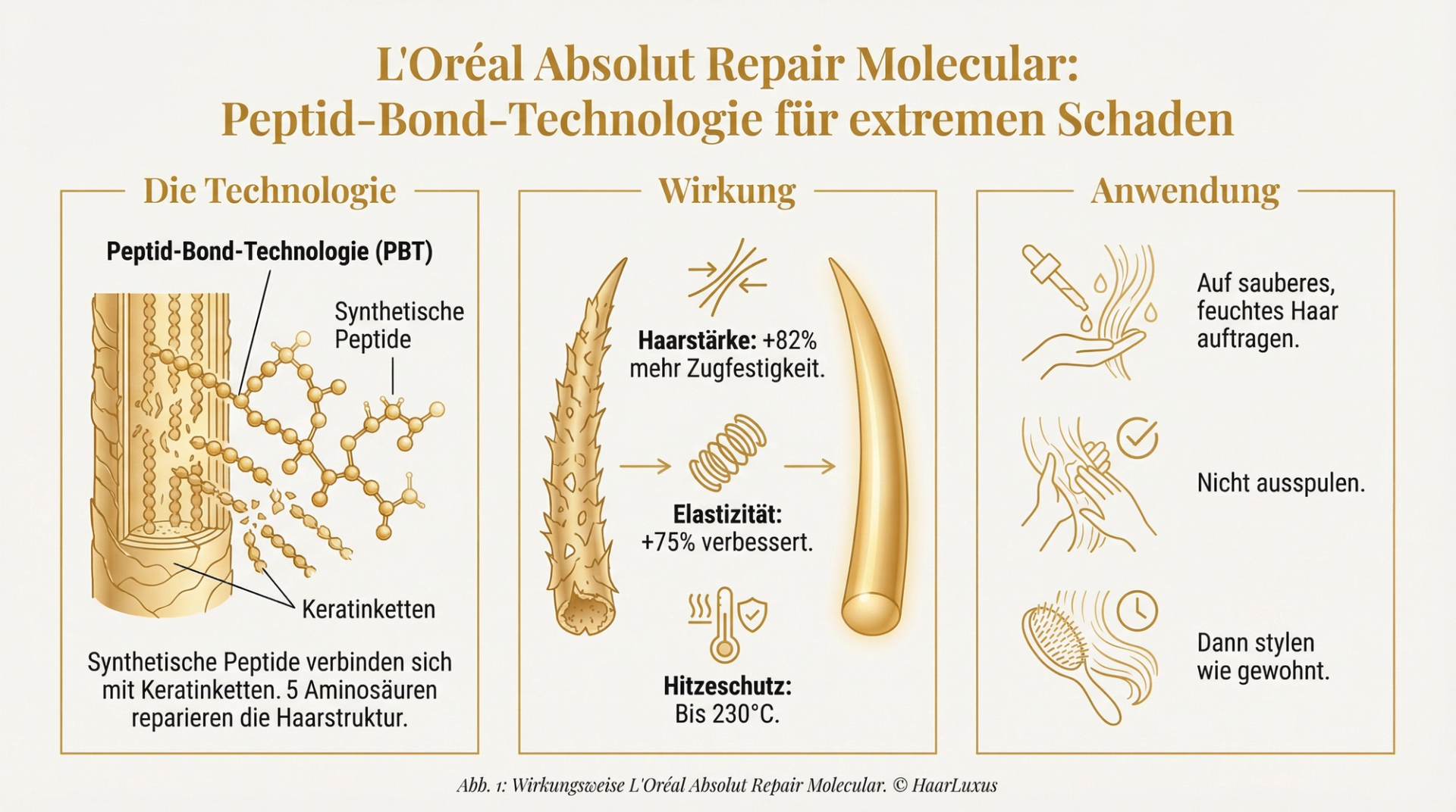 Infografik zu den Wirkstoffen des L'Oréal Absolut Repair Molecular: Peptid-Bonder, 5 Aminosäuren, Zitronensäure und Proteine
