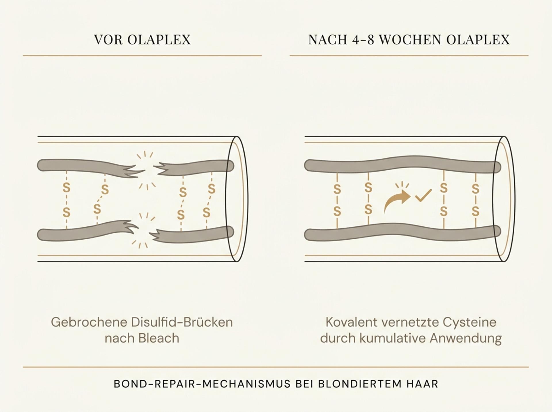 Macro-Detail Editorial: gepflegte platinblonde Strähne mit visiblem Cuticle-Alignment nach kumulativer Bond-Routine – hyper-glossy, ohne Frizz