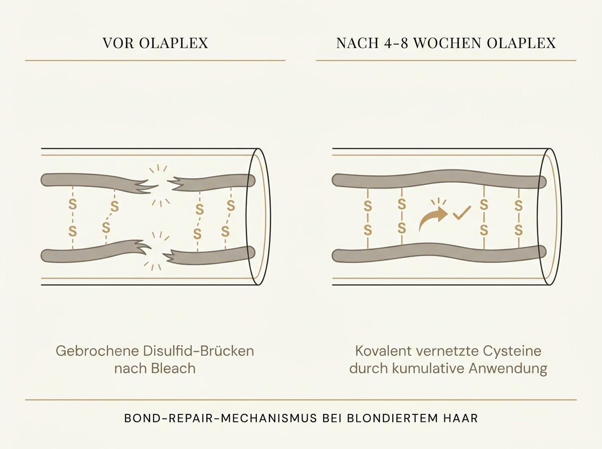 Macro-Detail Editorial: gepflegte platinblonde Strähne mit visiblem Cuticle-Alignment nach kumulativer Bond-Routine – hyper-glossy, ohne Frizz