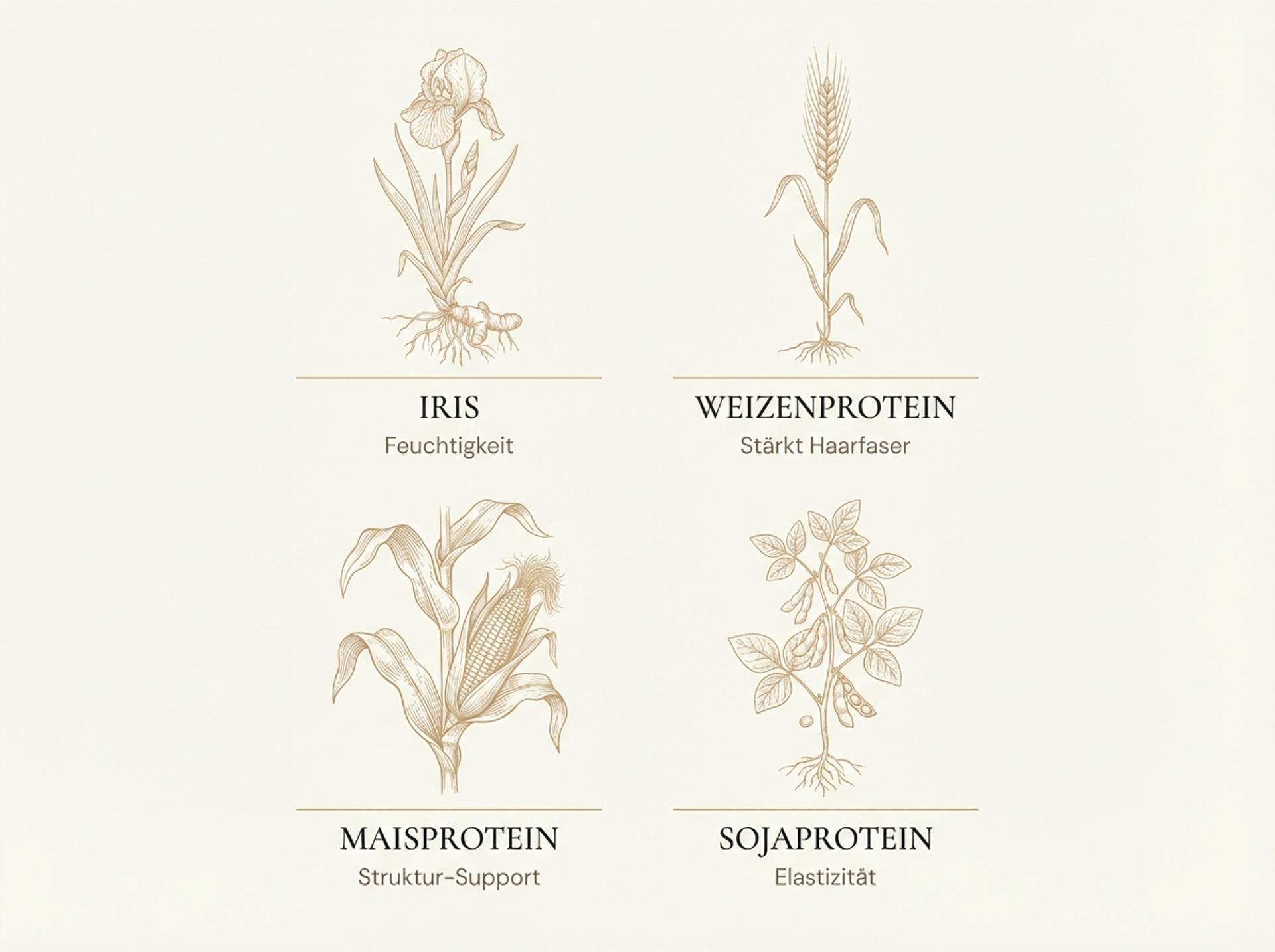 Infografik zu den Wirkstoffen im Kérastase Nutritive Lait Vital: Iris, Weizenprotein, Maisprotein und Sojaprotein