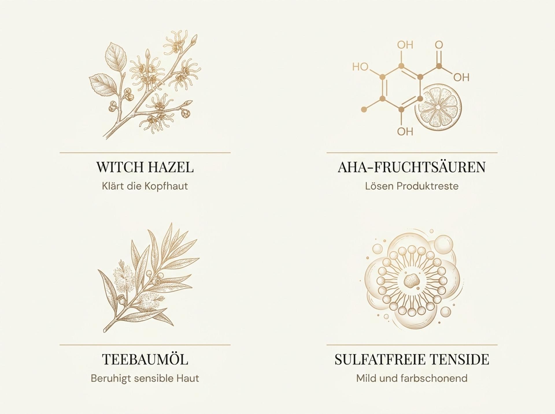 Infografik der vier Wirksäulen des MAXI WASH: Witch Hazel, Sodium Glycolate AHA, Tea Tree Oil und sulfatfreie Tenside