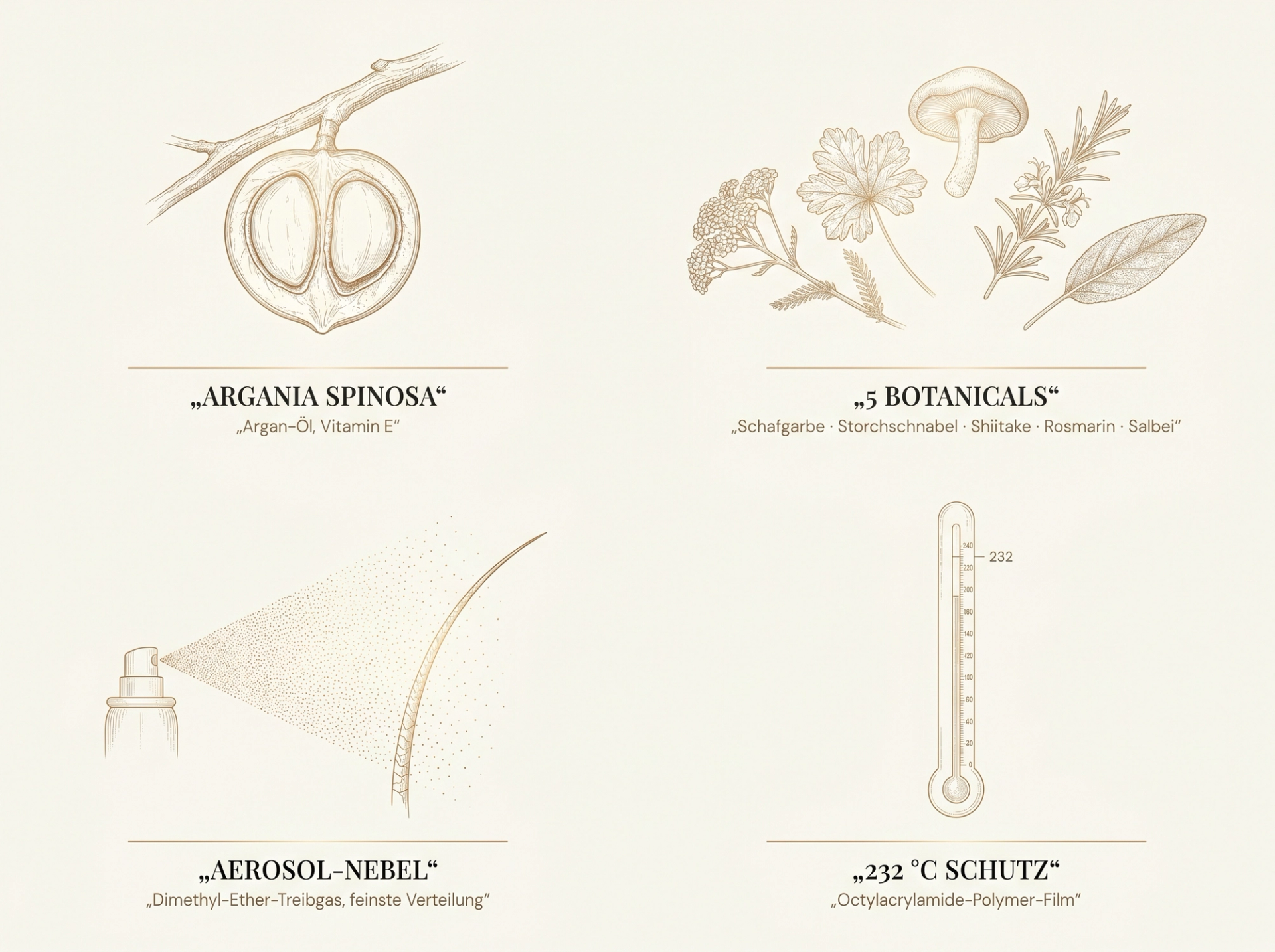 Scientific-Luxury-Infografik: 2x2-Grid in Sepia – Argania Spinosa, 5-Botanicals-Komplex, Aerosol-Mikronebel, 232-°C-Thermometer – auf ivory Hintergrund in HaarLuxus-Palette