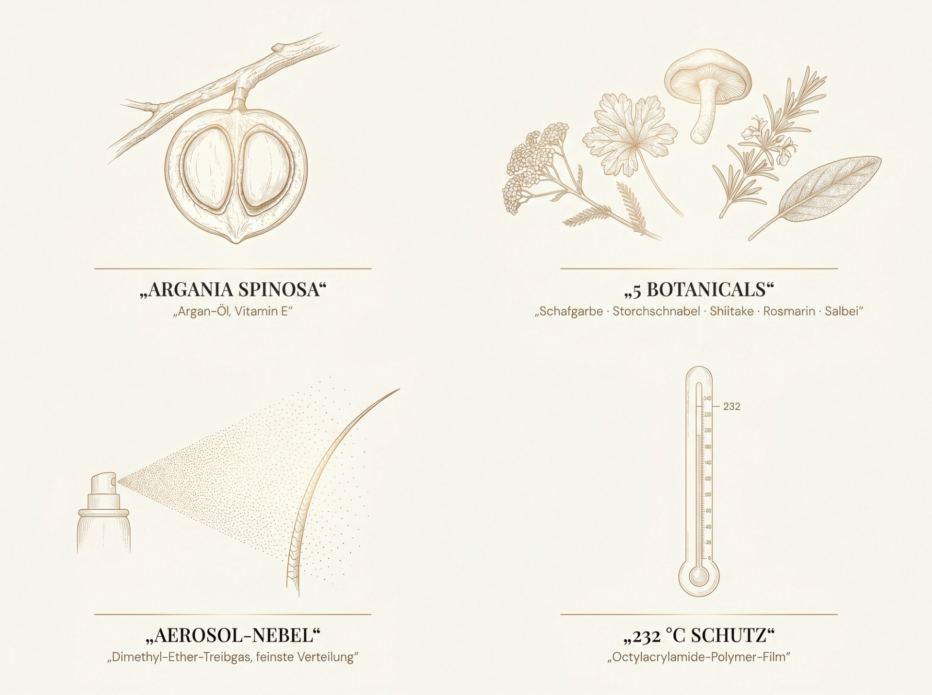 Scientific-Luxury-Infografik: 2x2-Grid in Sepia – Argania Spinosa, 5-Botanicals-Komplex, Aerosol-Mikronebel, 232-°C-Thermometer – auf ivory Hintergrund in HaarLuxus-Palette