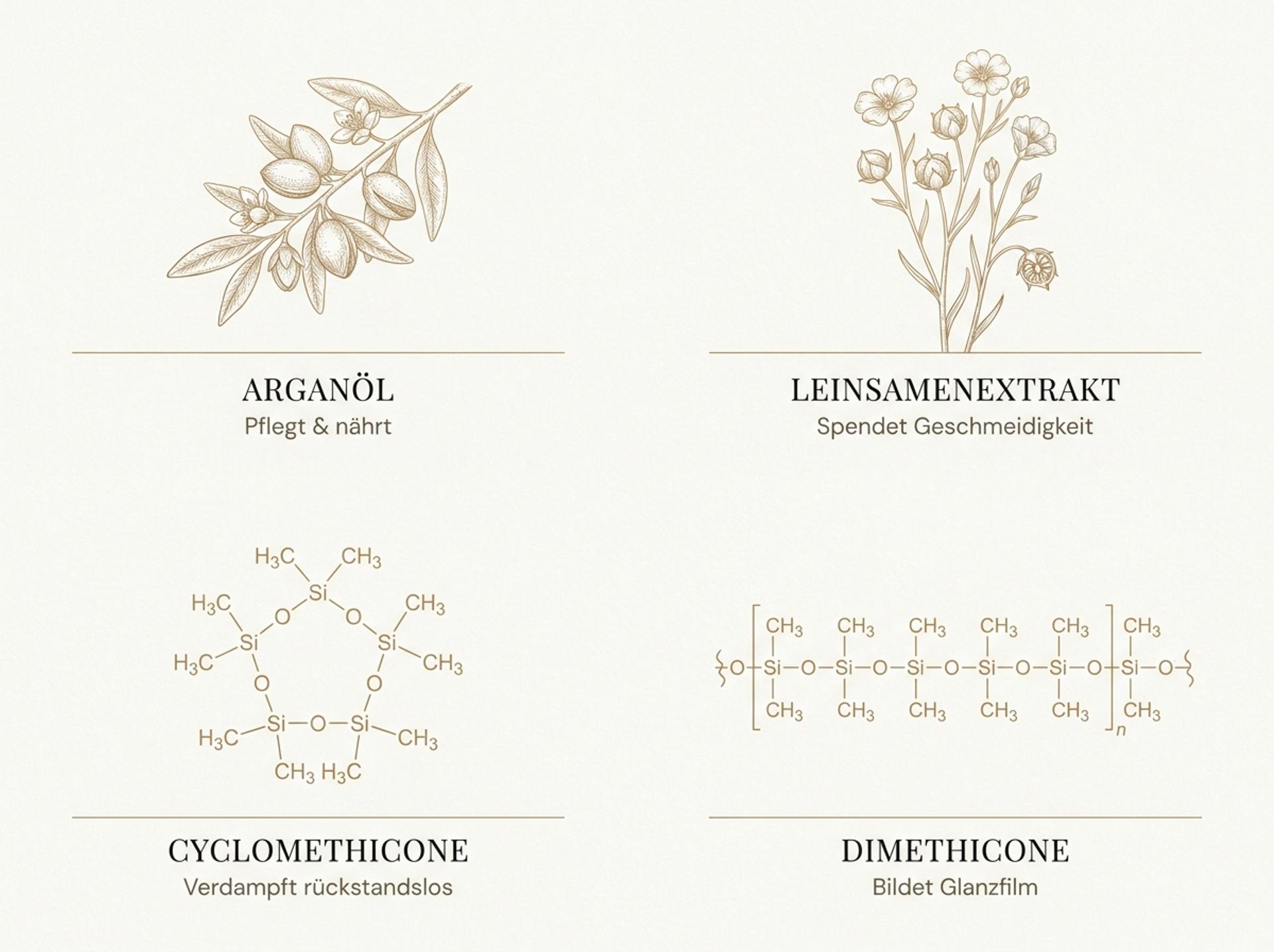 Infografik zu den Wirkstoffen der Moroccanoil Behandlung: Arganöl, Leinsamenextrakt, Cyclomethicone und Dimethicone