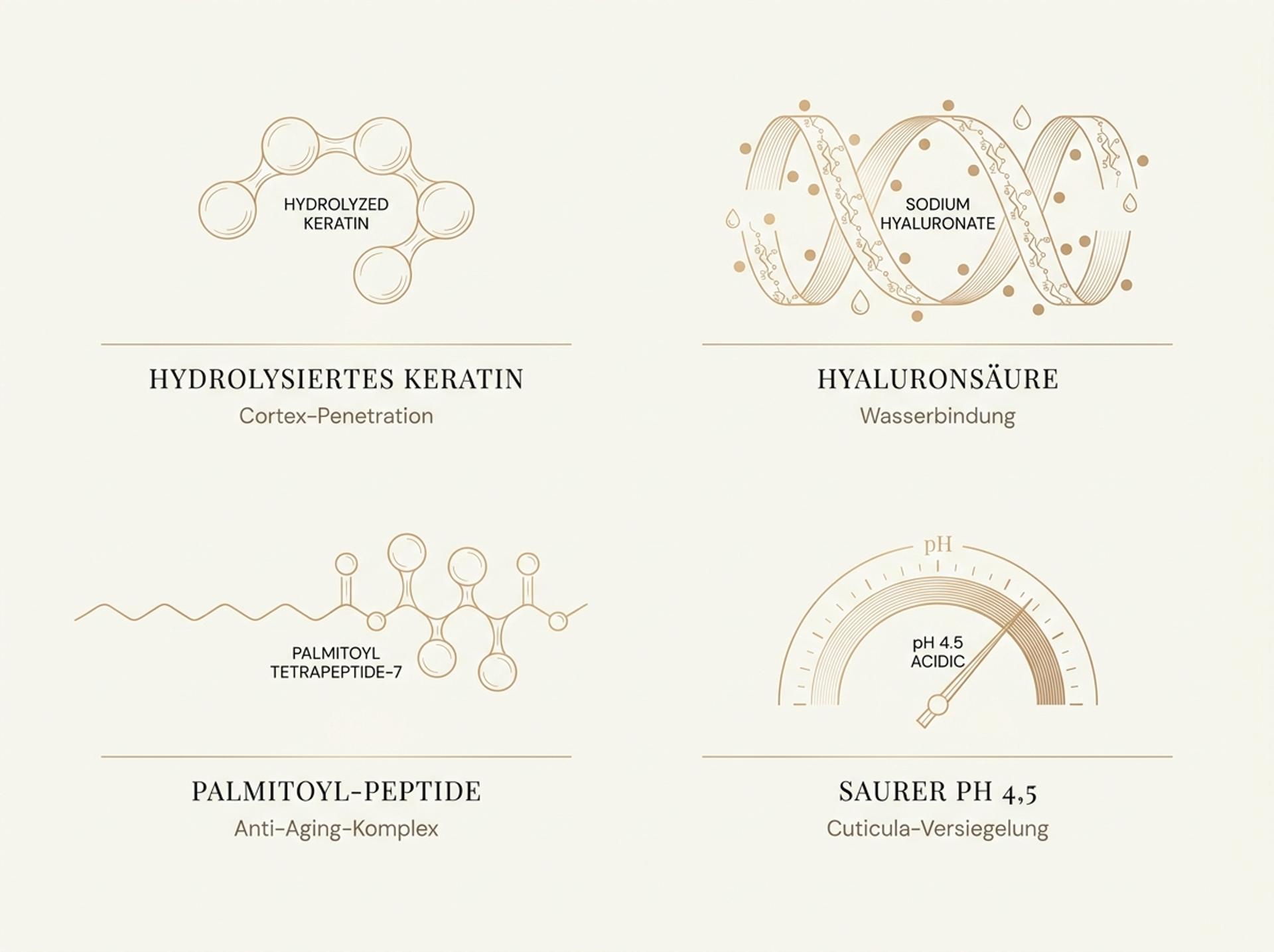 Infografik der Fanola Botolife Wirkstoffe: Hydrolysiertes Keratin, Hyaluronsäure, Palmitoyl-Peptide und saurer pH 4,5