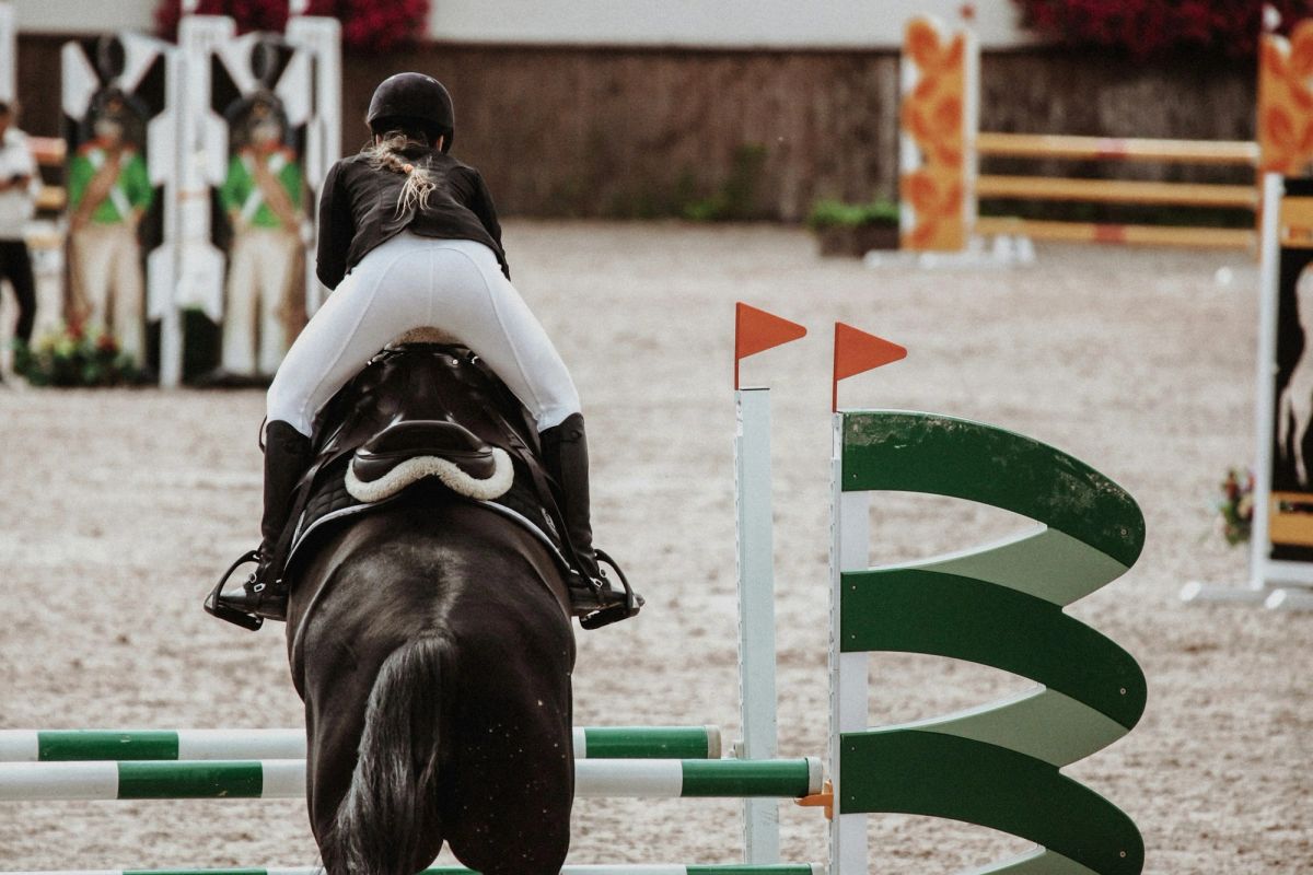 A rider in the warm-up arena