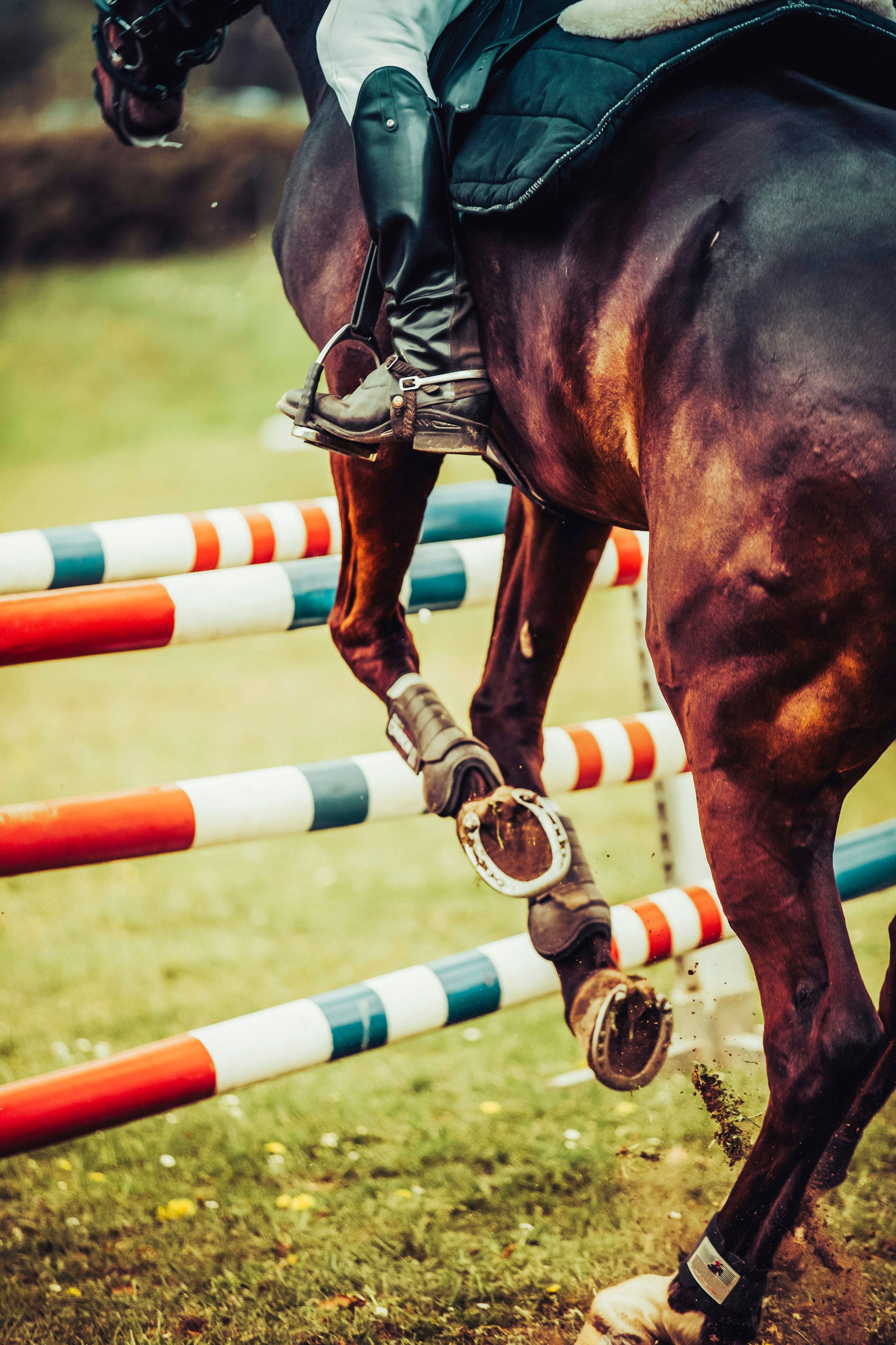 A horse's forelegs folded over a pole