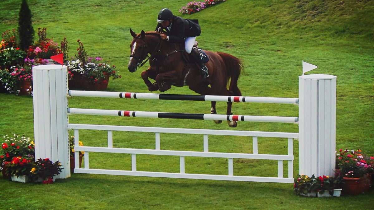 A horse jumping between floral wings