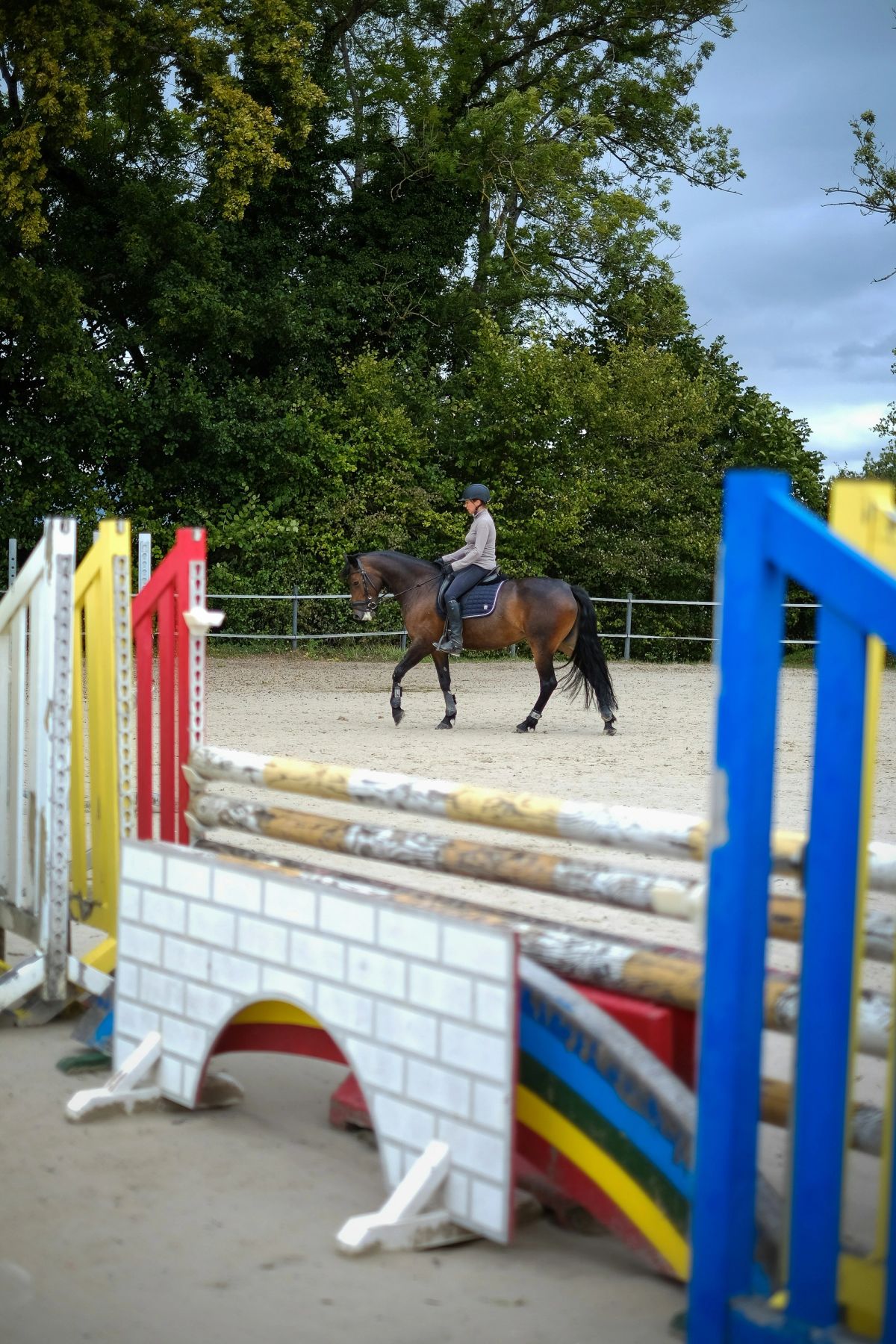 Lumière jumping a blue fence